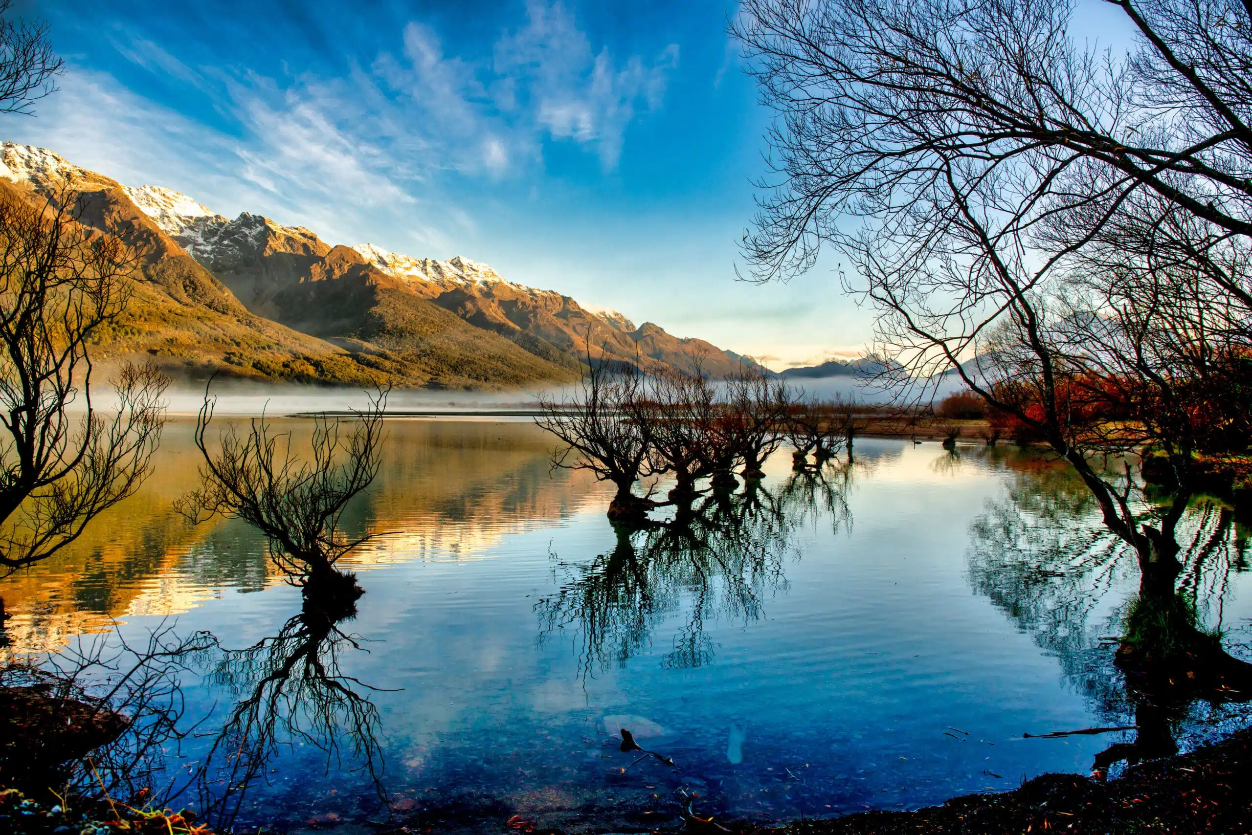 Glenorchy's famous row of willow trees growing out of Lake Wakatipu at sunrise