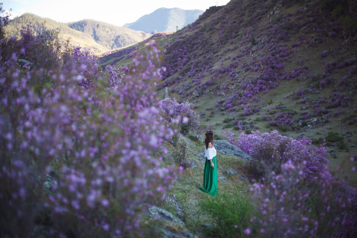 A lady in green dress walks in bloom of flowers in the mountains