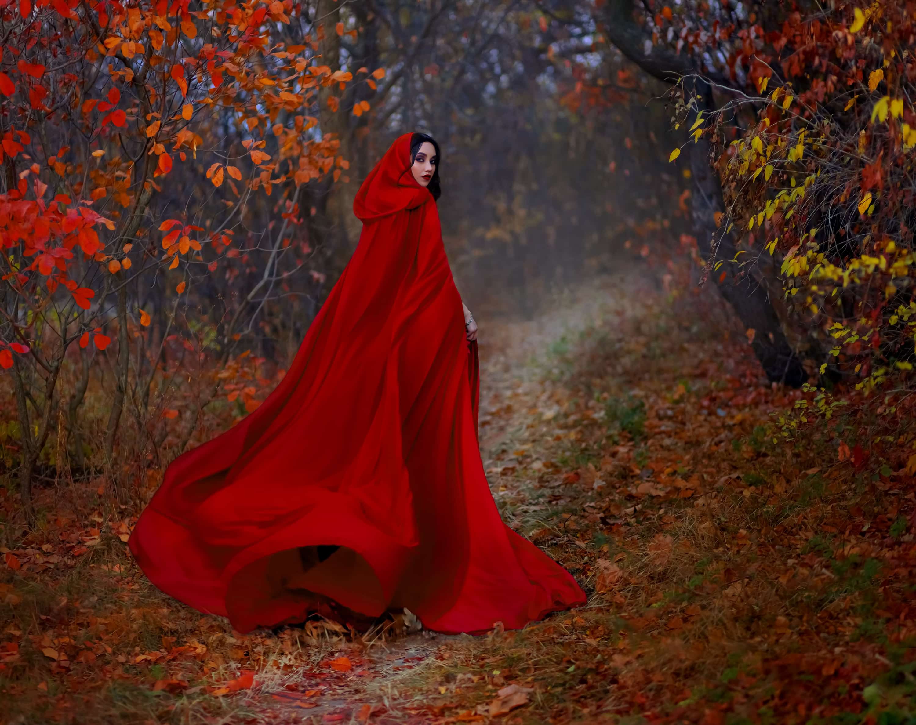 Art gothic fantasy woman like red riding hood walks in dark autumn forest. 