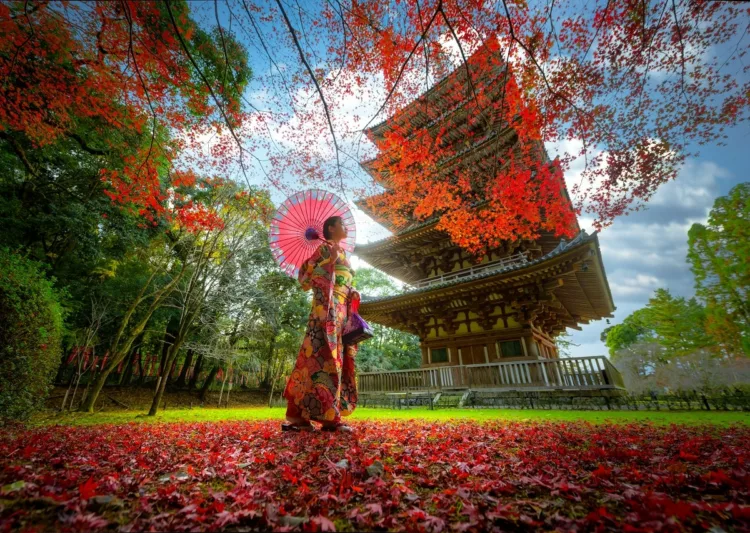 Japanese woman wearing traditional kimono dress in autumn.