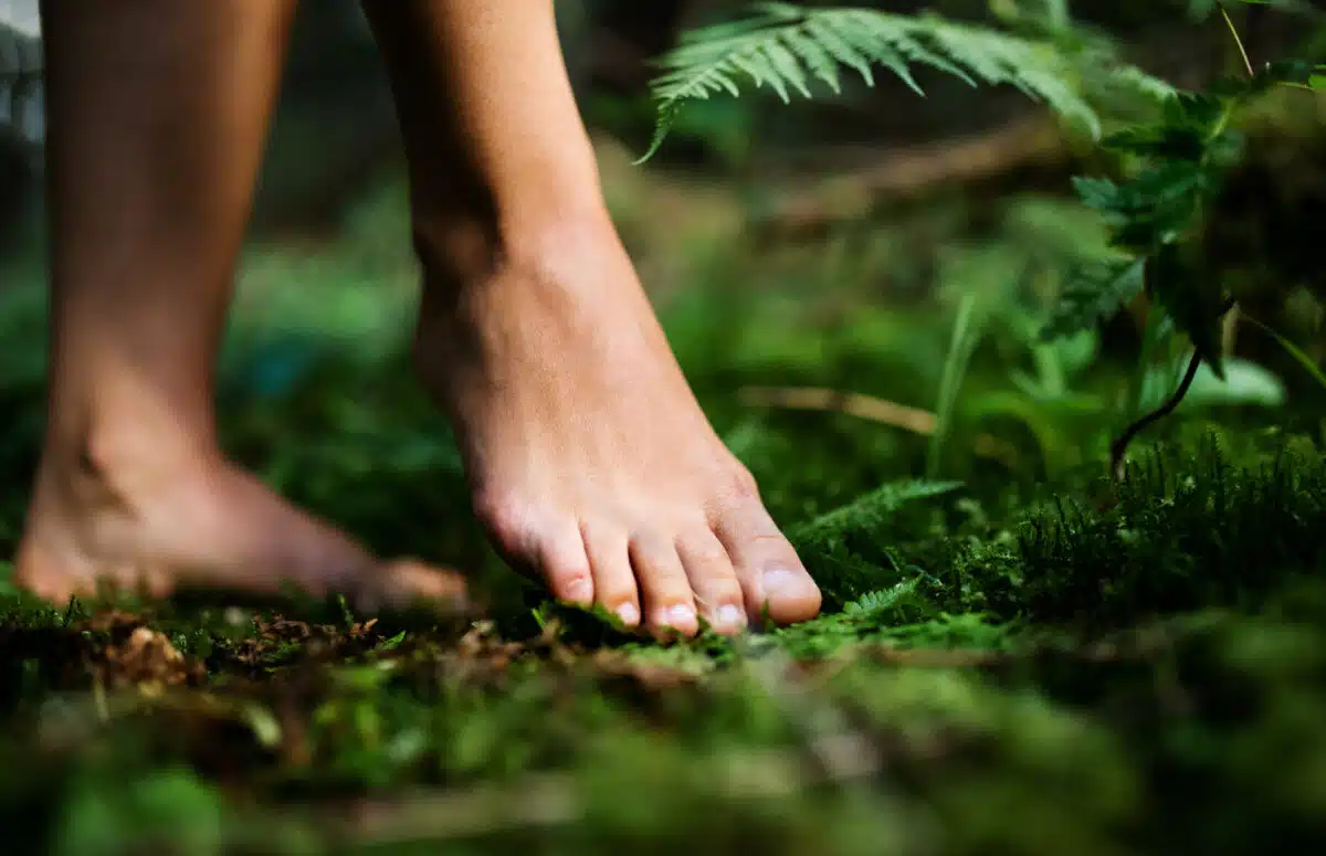 Bare feet of woman standing barefoot outdoors in nature, grounding concept.