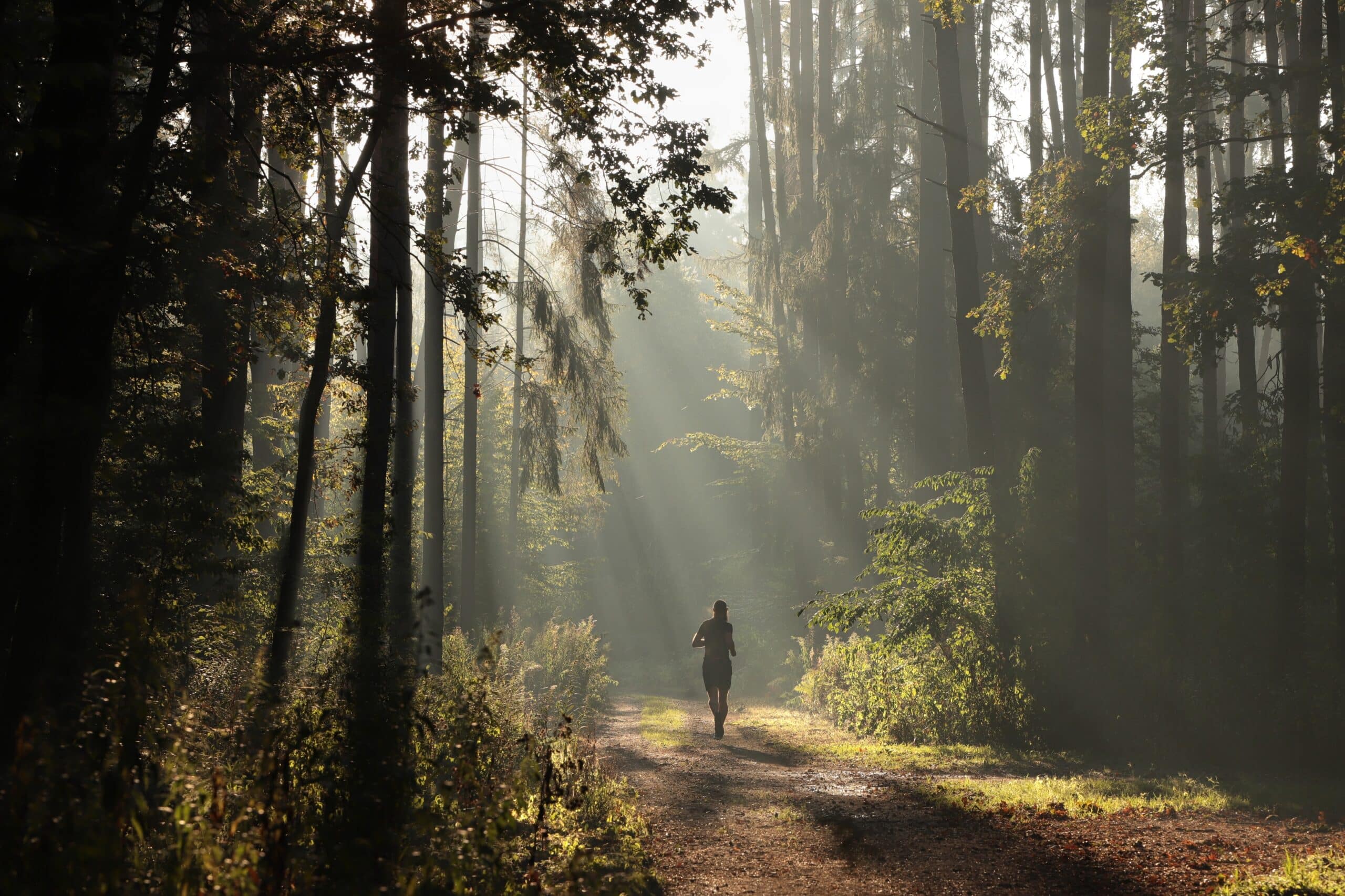 A man runs along a forest path on a foggy morning