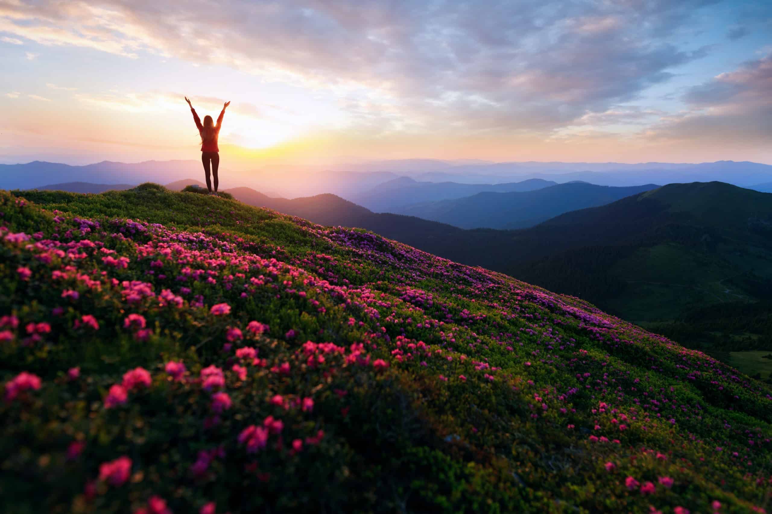 Woman standing up on a mountain and a field of flowers.