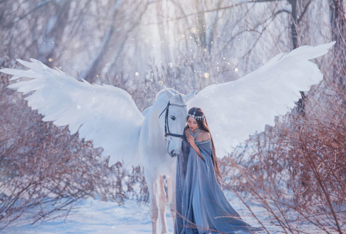 young beautiful woman goddess stroking mythical Pegasus, white magic wings. Brunette Long flowing hair wig. medieval princess vintage clothing cape. elf silver diadem tiara. winter nature snowy forest