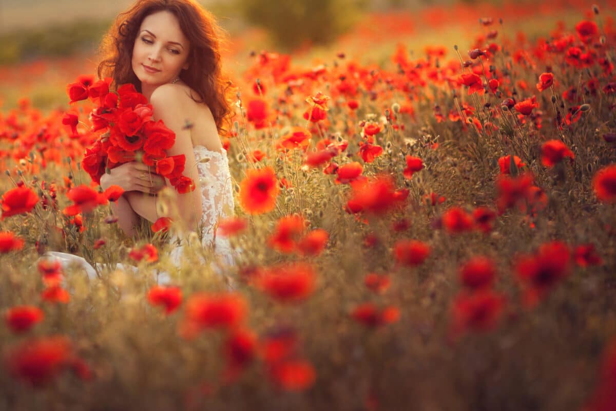 lovely lady holding a bouquet of poppies  in a poppy field