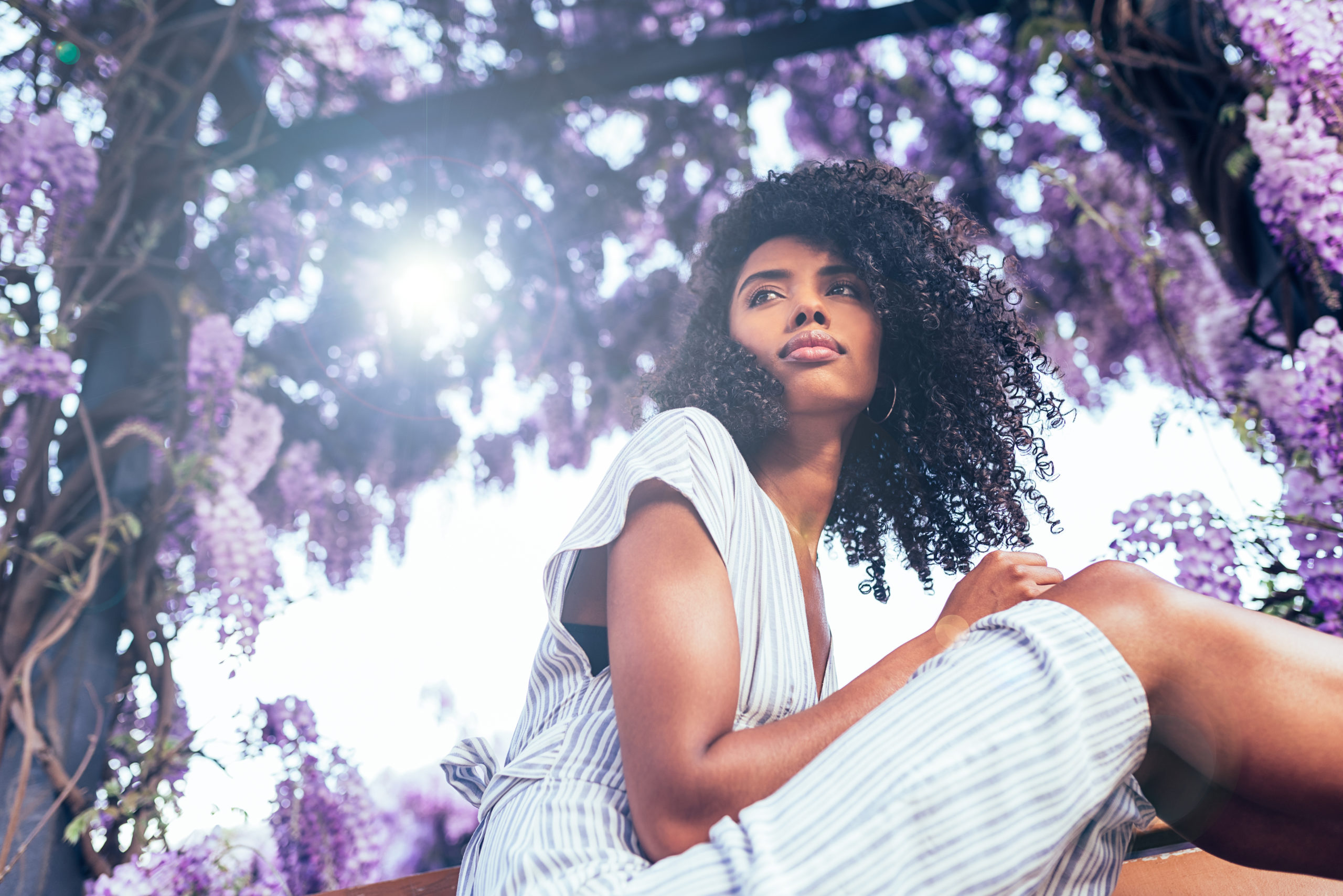 Attractive young african-american woman sitting surrounded by purple flowers