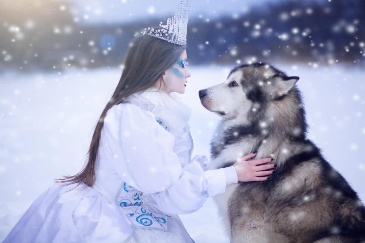 Snow queen in winter. Fairy tale girl with Malamute.