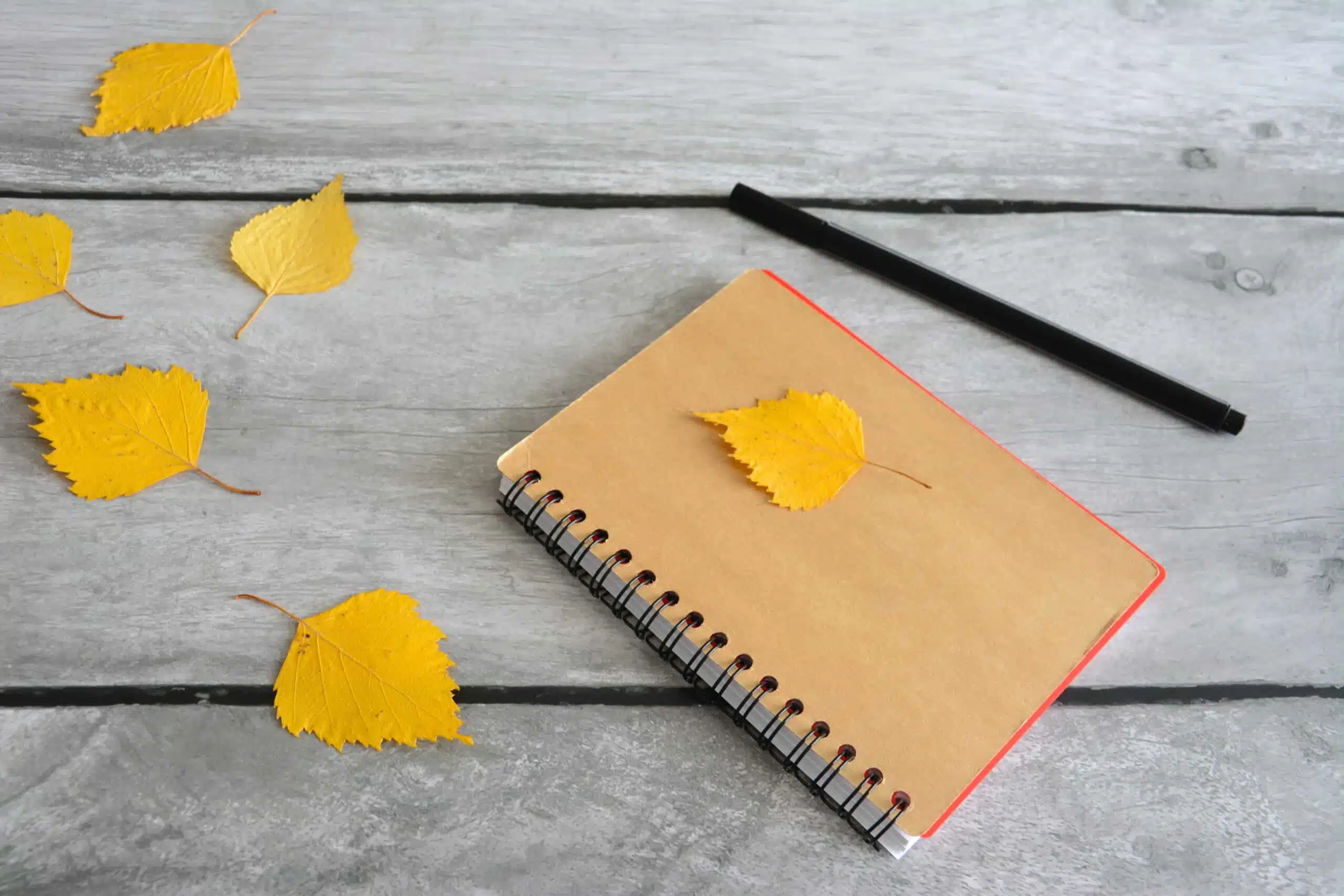 notepad with pen and yellow autumn leaves