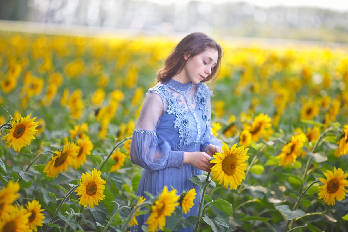 lonely young lady is walking in a field of sunflowers 