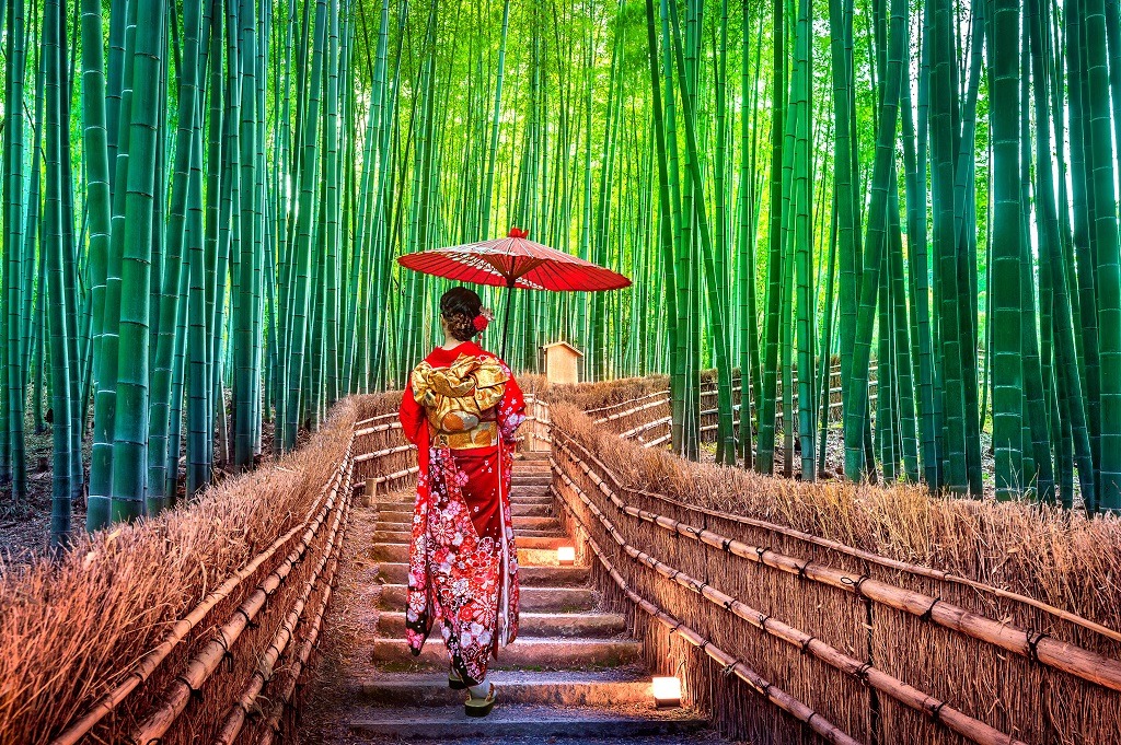 Japanese woman wearing traditional kimono at Bamboo forest in Japan.