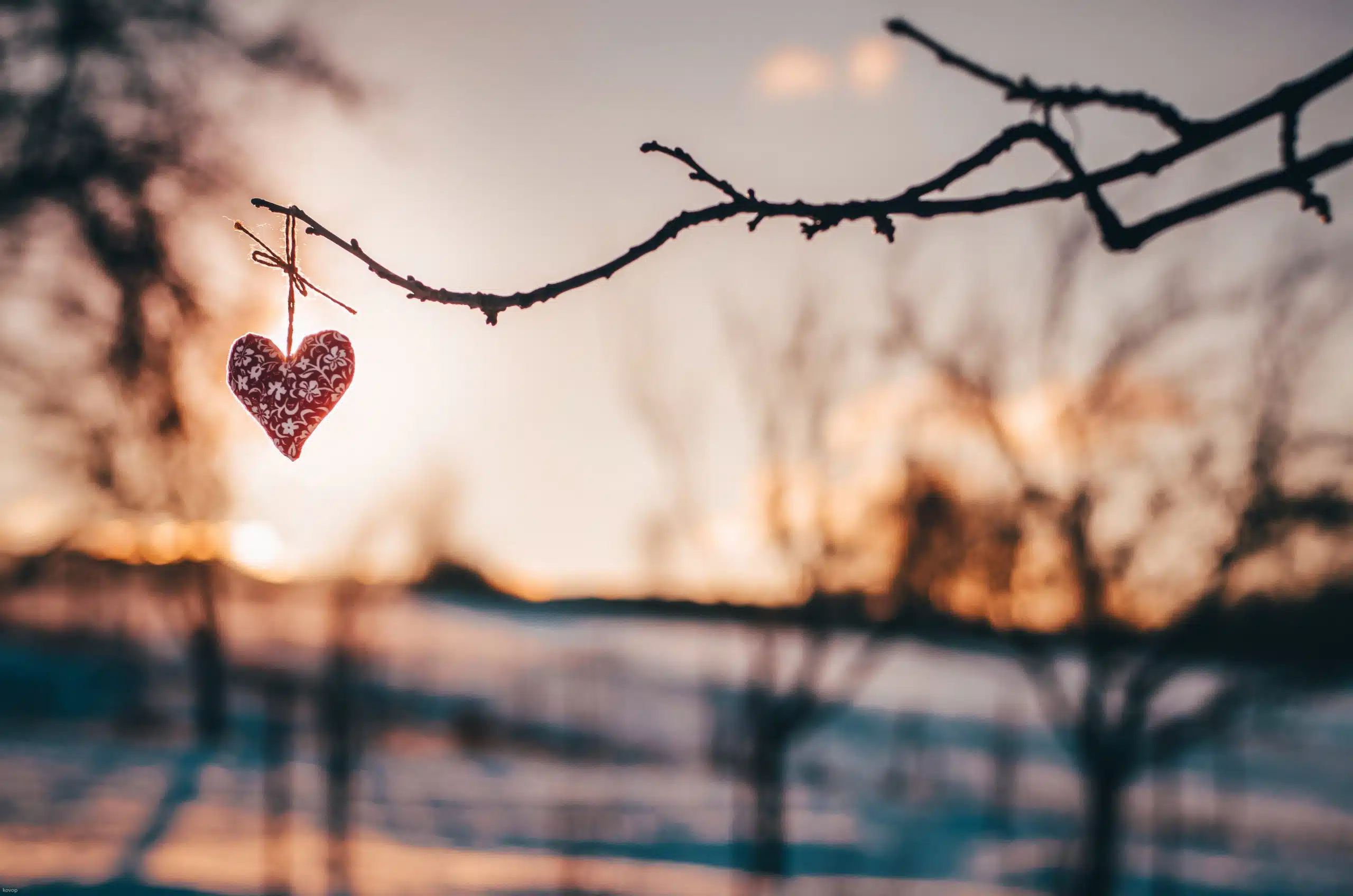 Wooden handmade heart hanging on a tree branch without leaves, in beautiful winter landscape