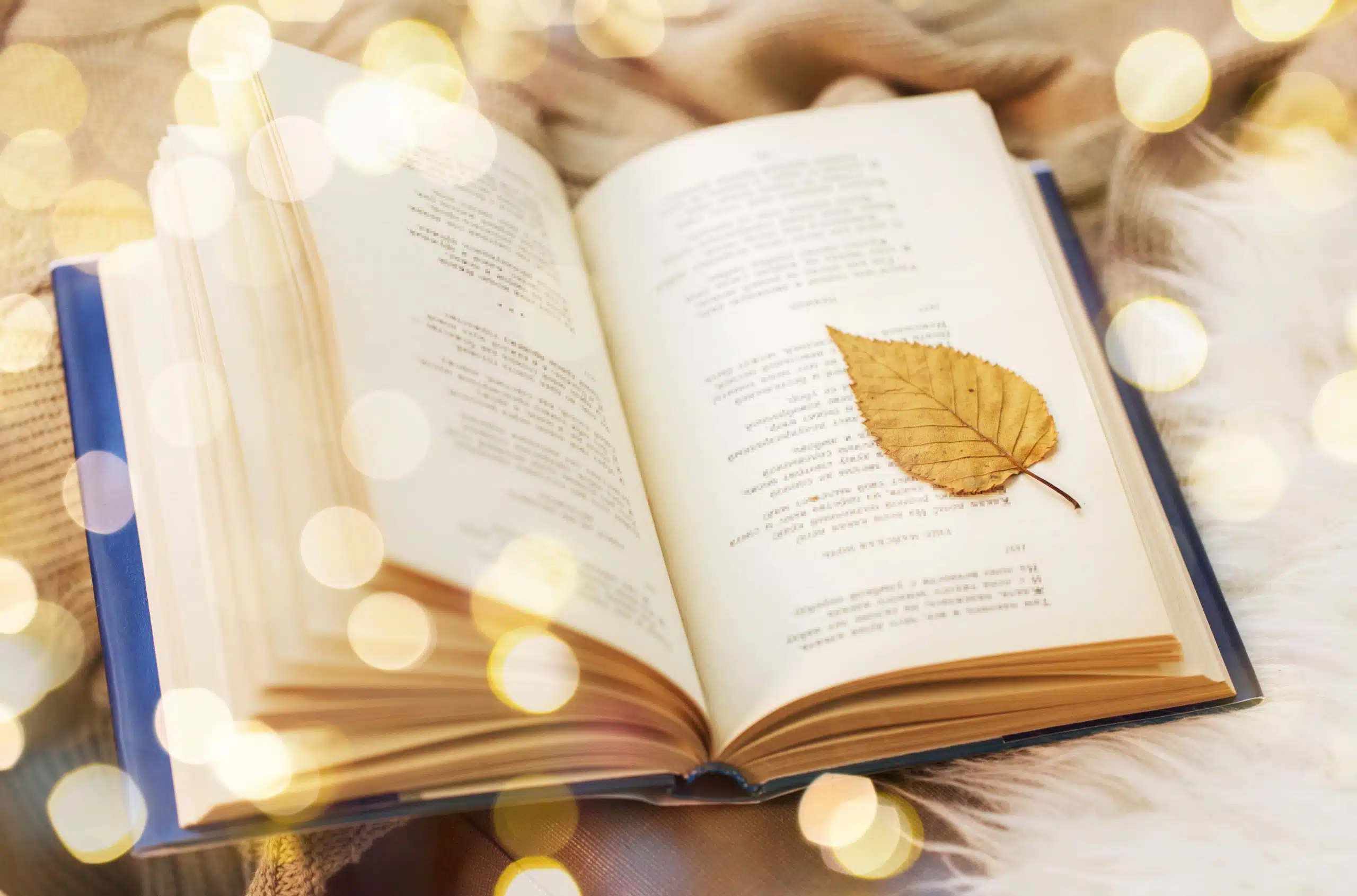 A book with an autumn leaf on its page.