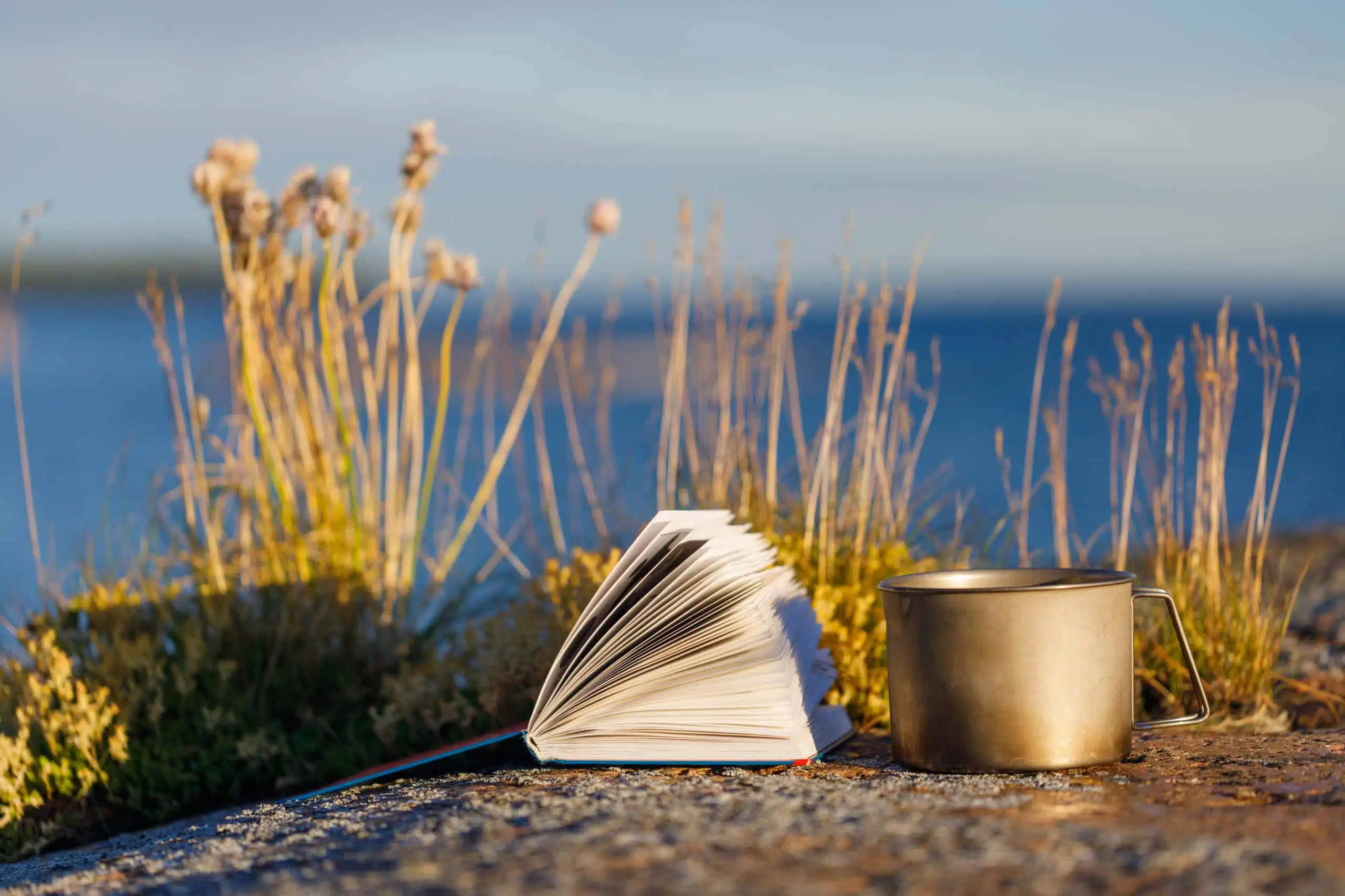Book with a mug of tea outdoor.