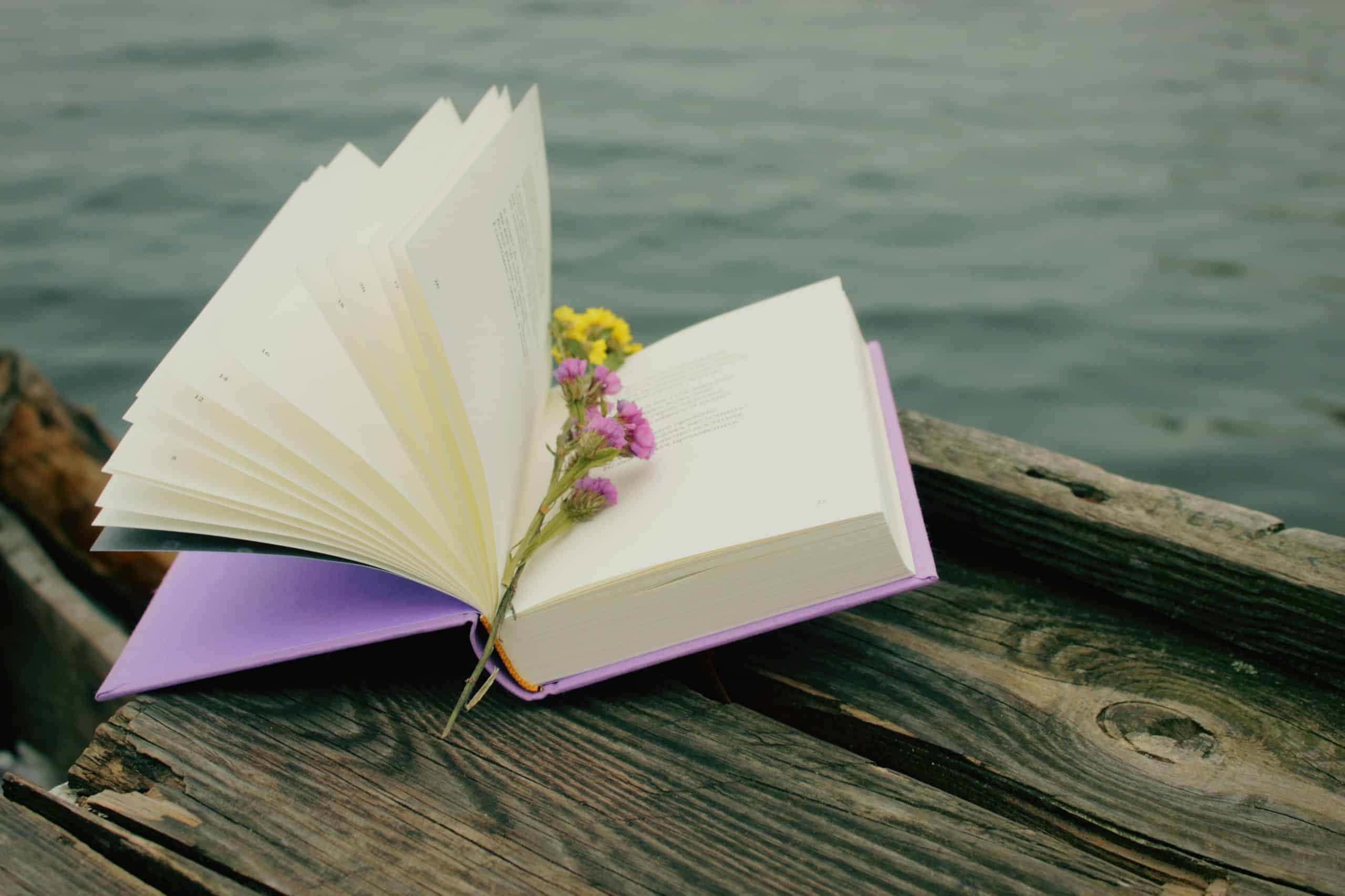 Open book with a yellow flower against blue lake