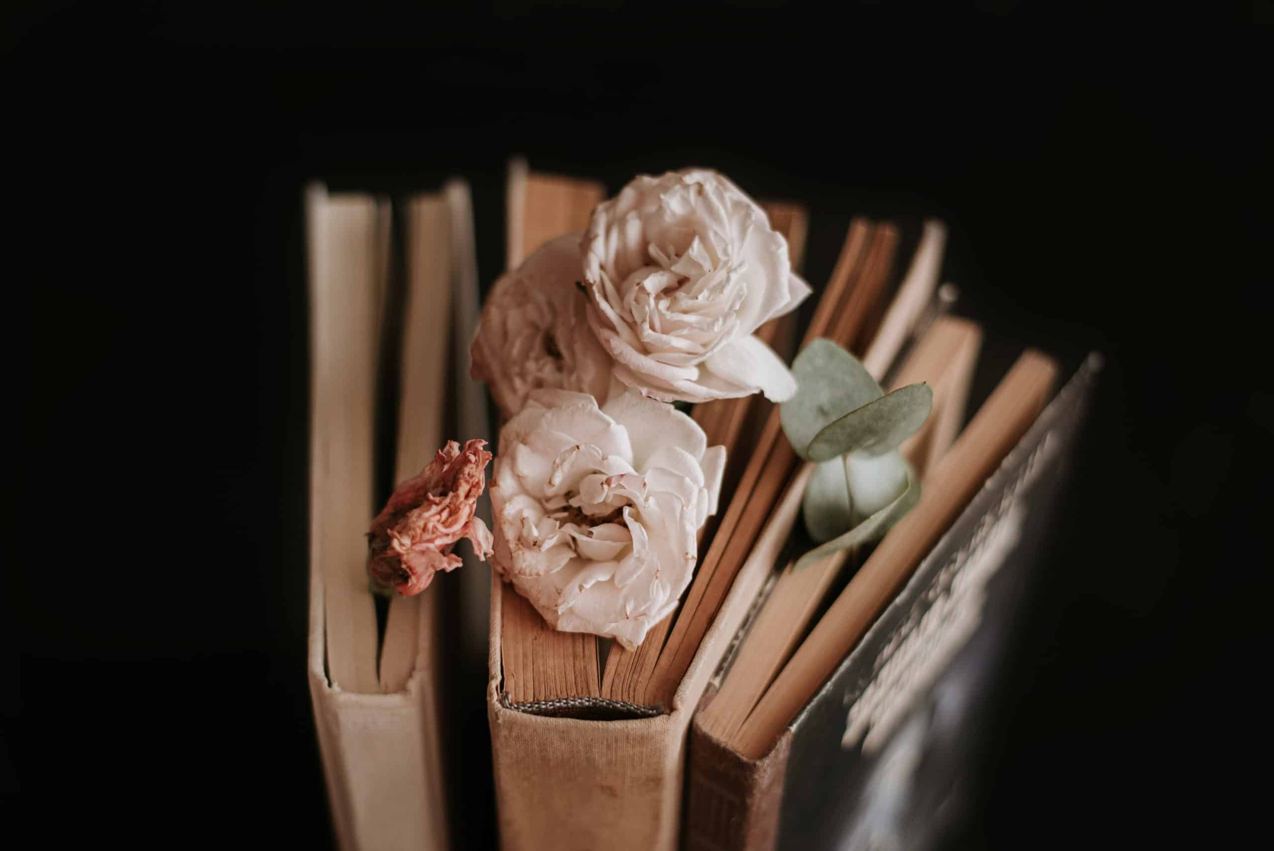 Three old books, dried flowers inserted in between them