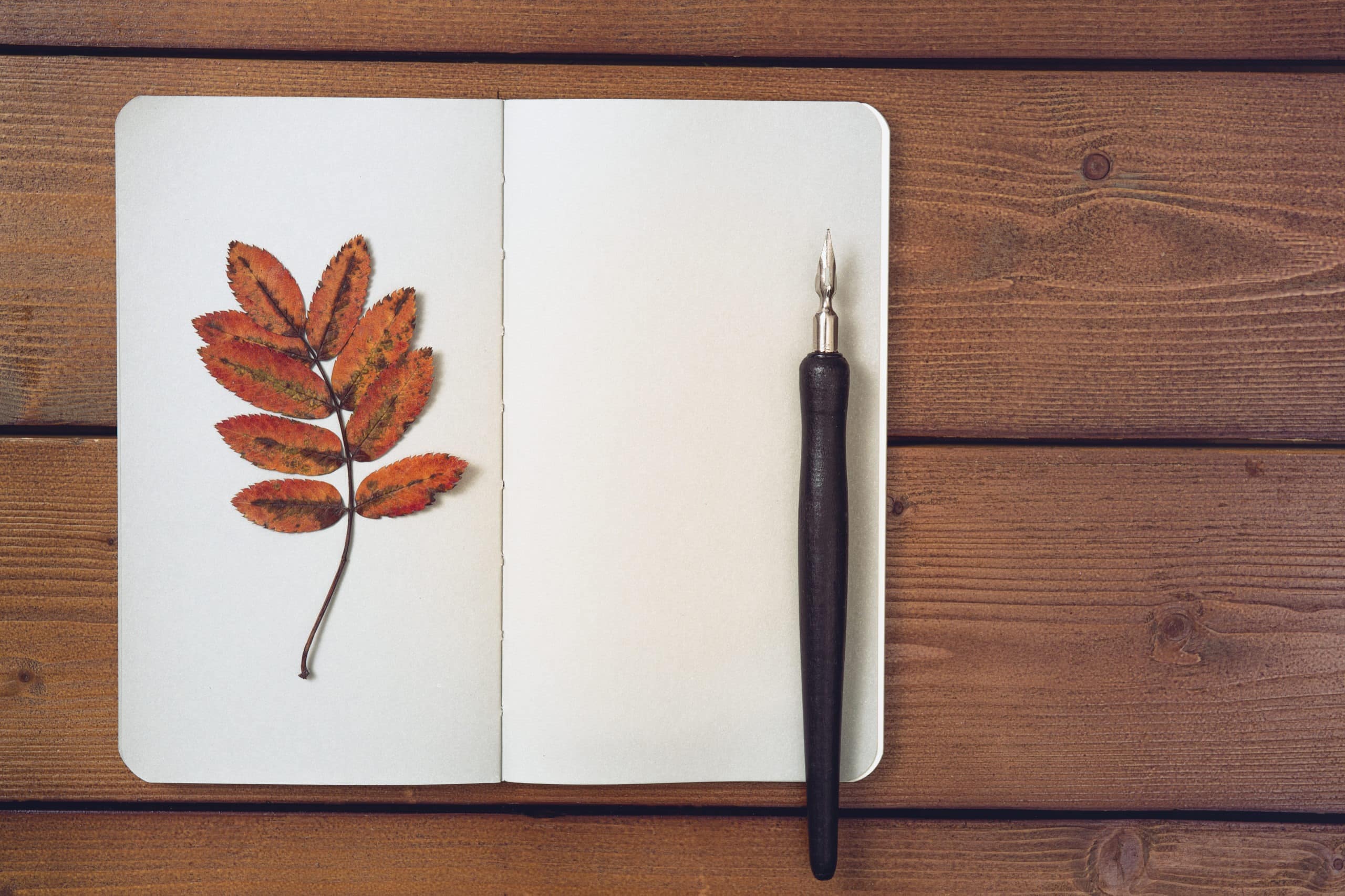 Blank notepad, fountain pen and autumn leaves on wooden rustic table.