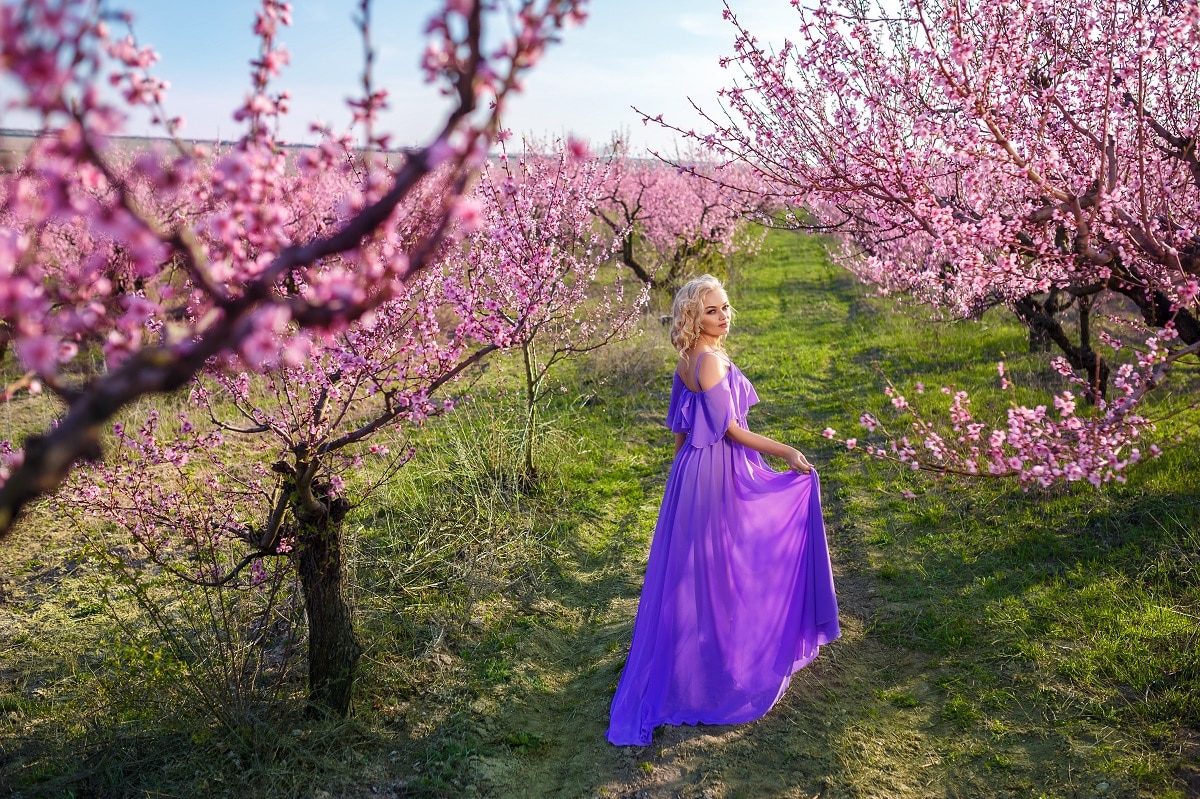 beautiful blonde in a purple dress in a blossoming peach garden