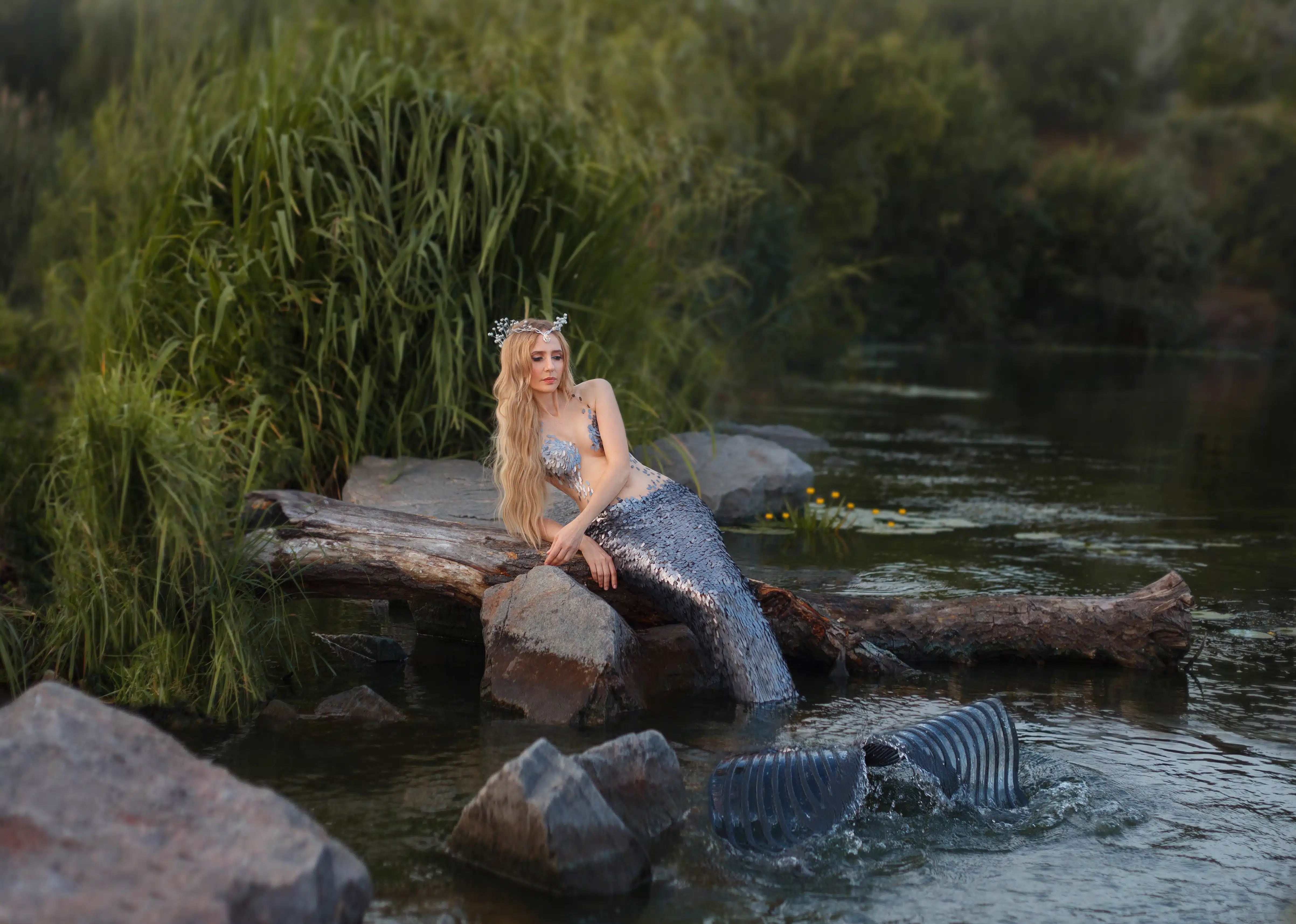 attractive siren with a long tail relaxing in the river
