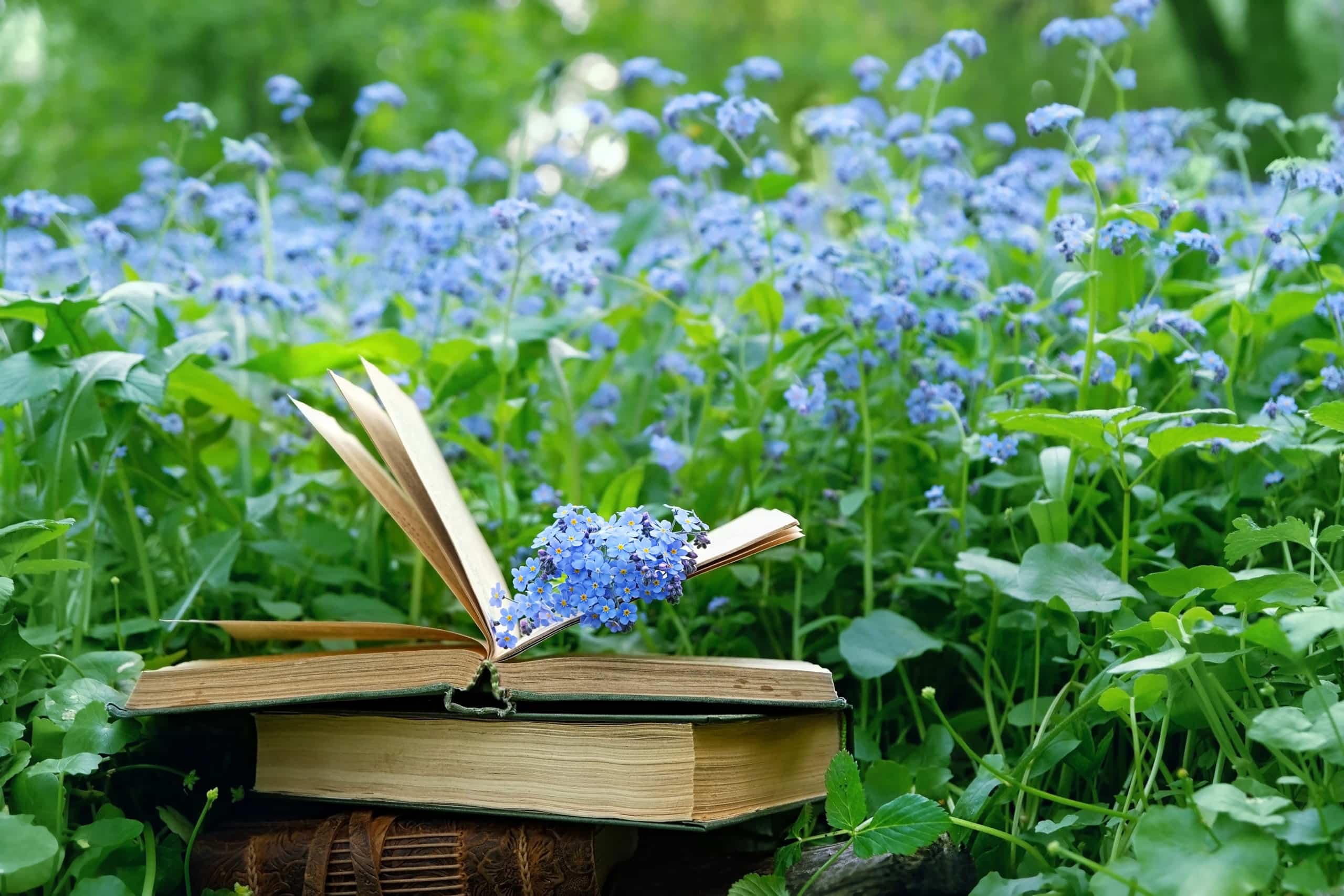 old books and blue flowers on natural green meadow.
