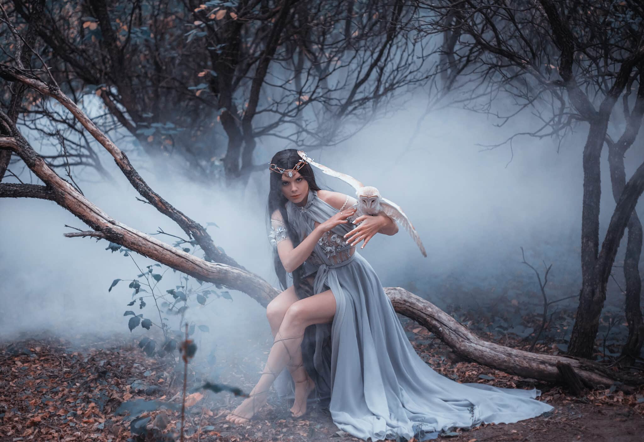Mysterious sorceress in a beautiful blue dress. The background is a cold forest in the fog. Girl with a white owl.