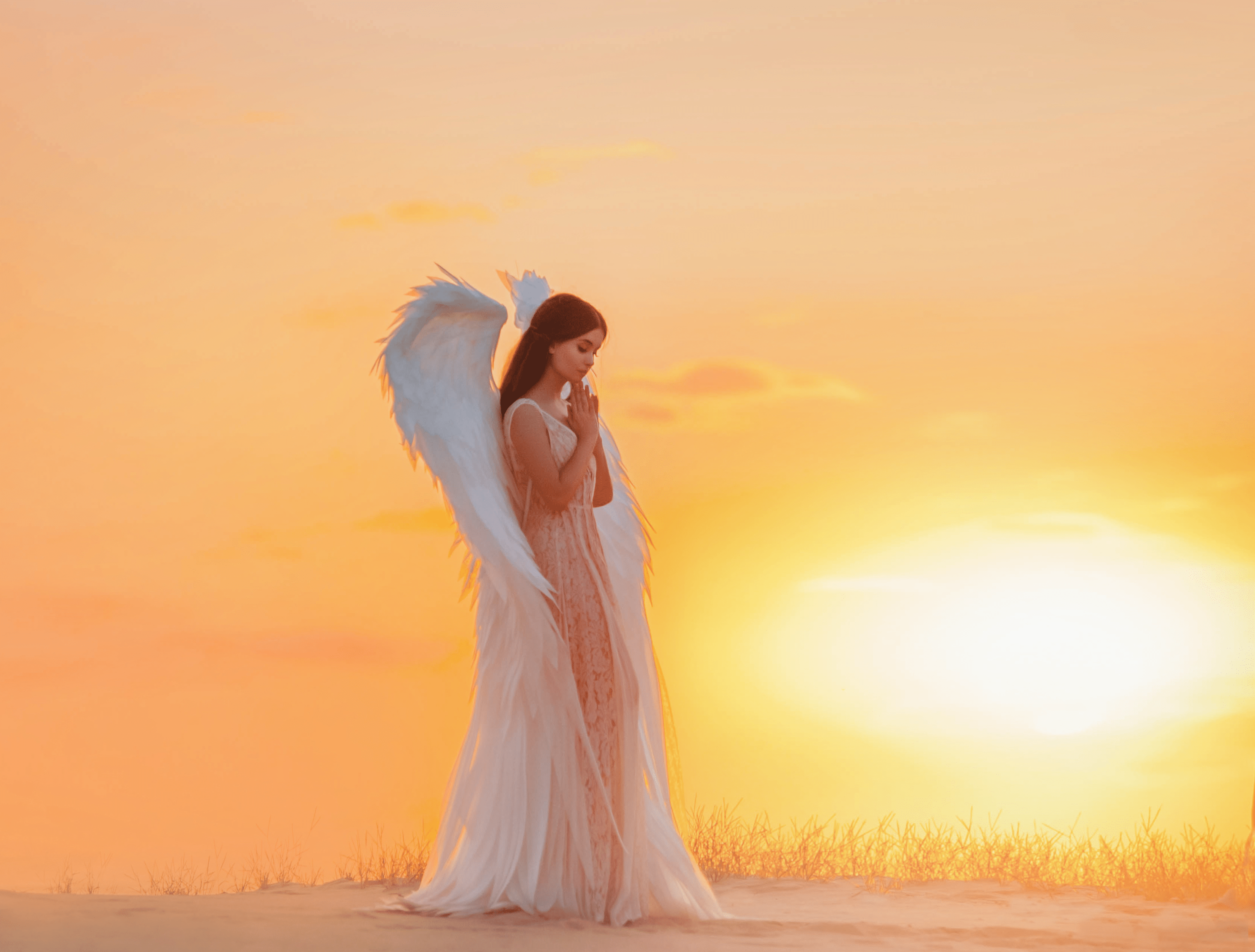 Attractive young woman angel stands in desert praying. Creative glamour design costume clothes with bird wings feathers. Bright yellow color sunset dramatic heaven. Photo Shoot Divine Fairy Spirit.