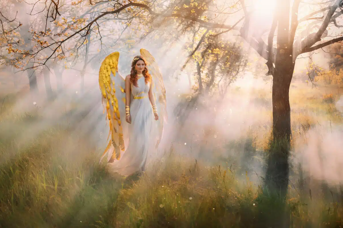 fantasy woman with golden bird wings walking in the misty woods at sunrise