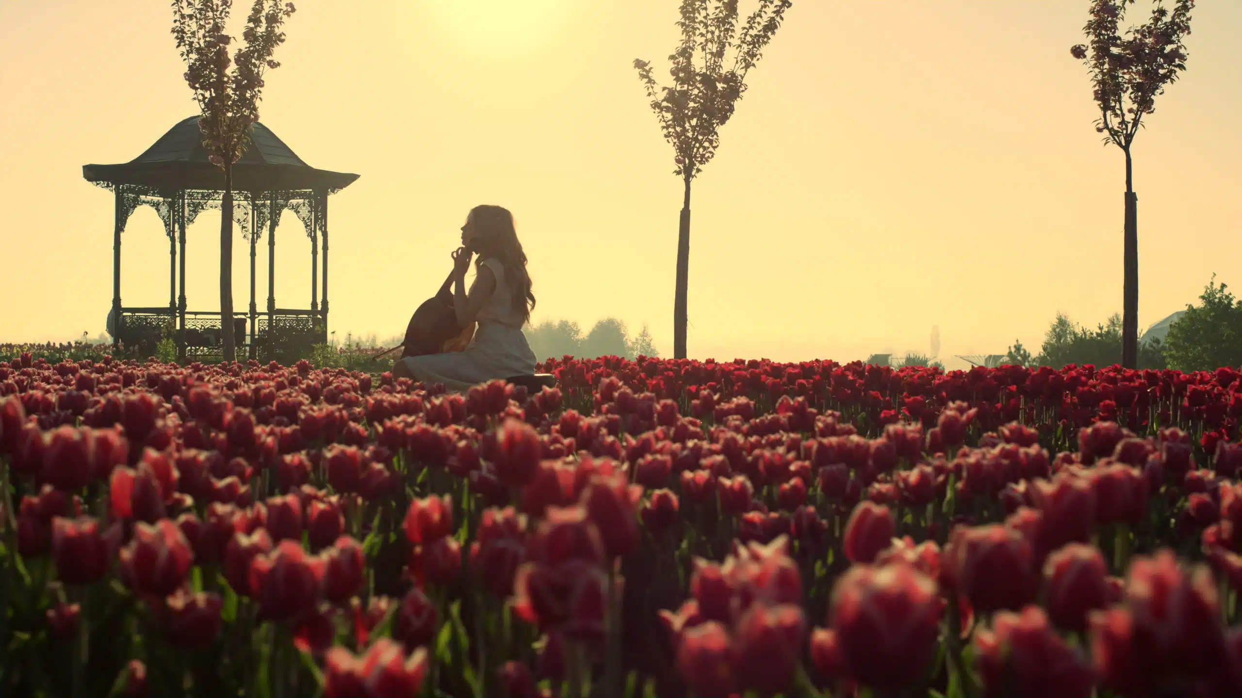 Woman playing cello in blooming garden in springtime.