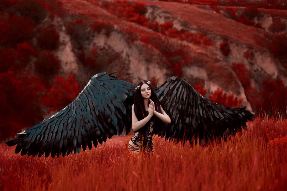 black fallen angel with a red plumage walking on the dark backgr