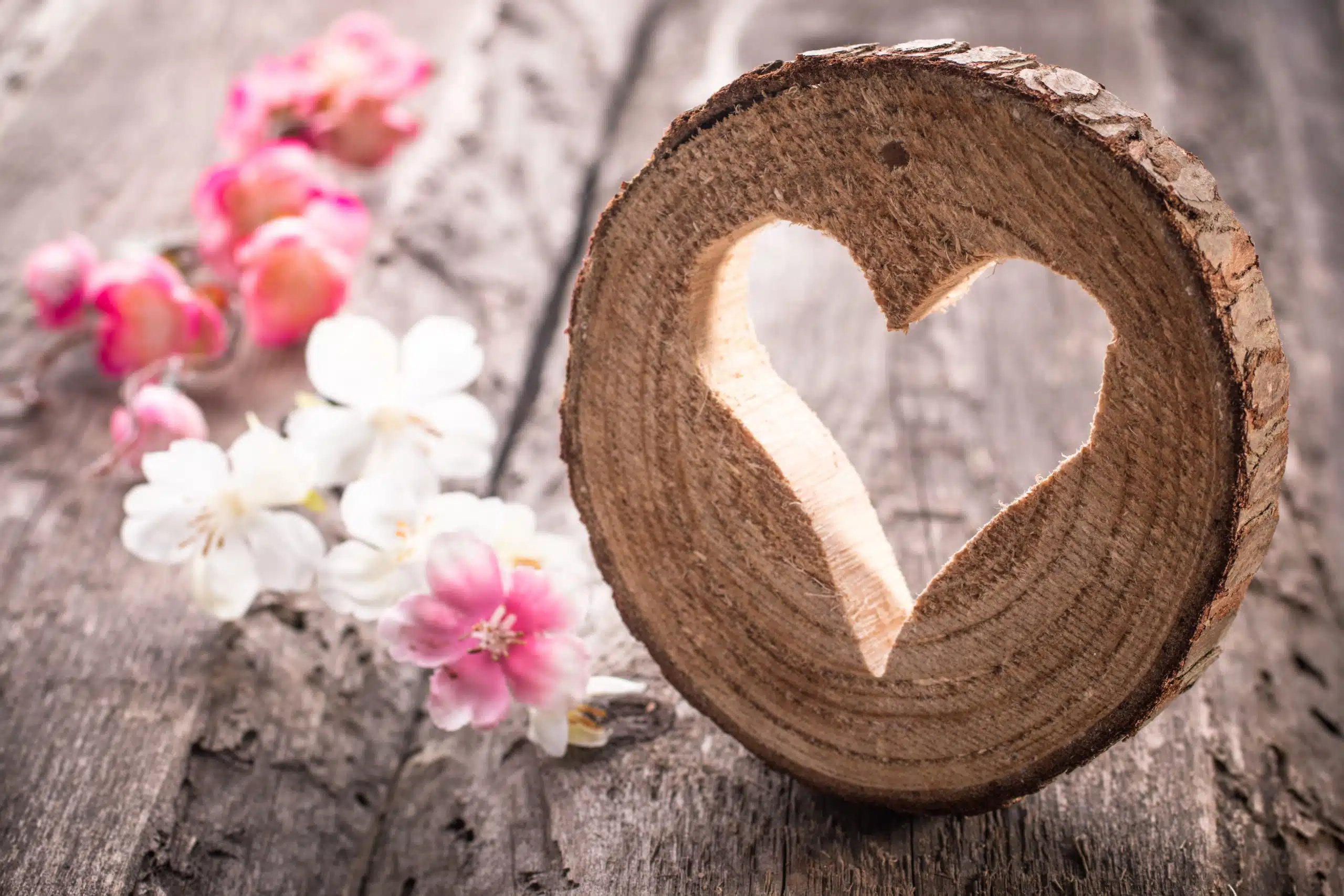 Heart carved out from a round wood on rustic wooden table with pink flowers.