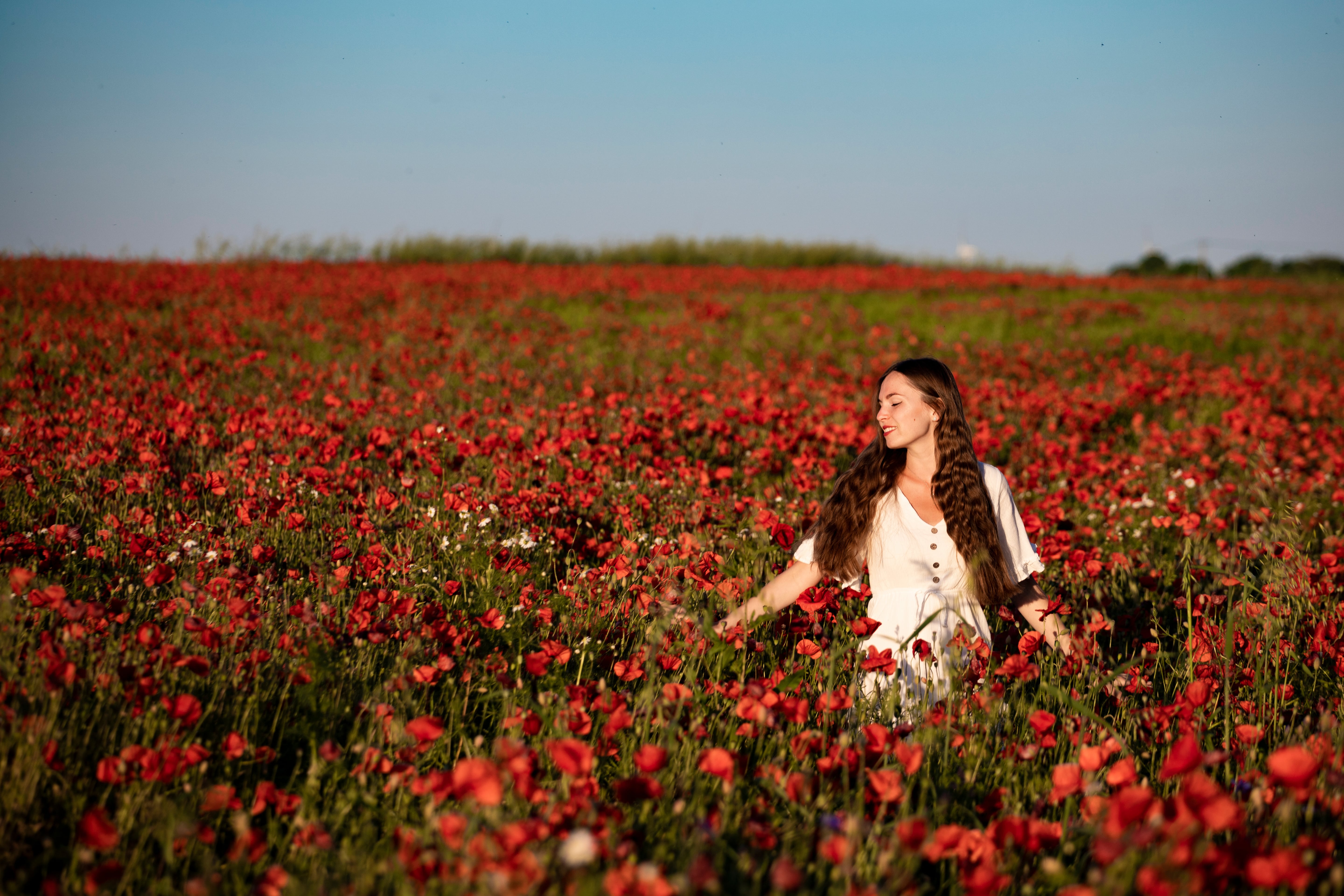 a beautiful long haired woman in a classic white dress enjoying a vast field of red flowers
