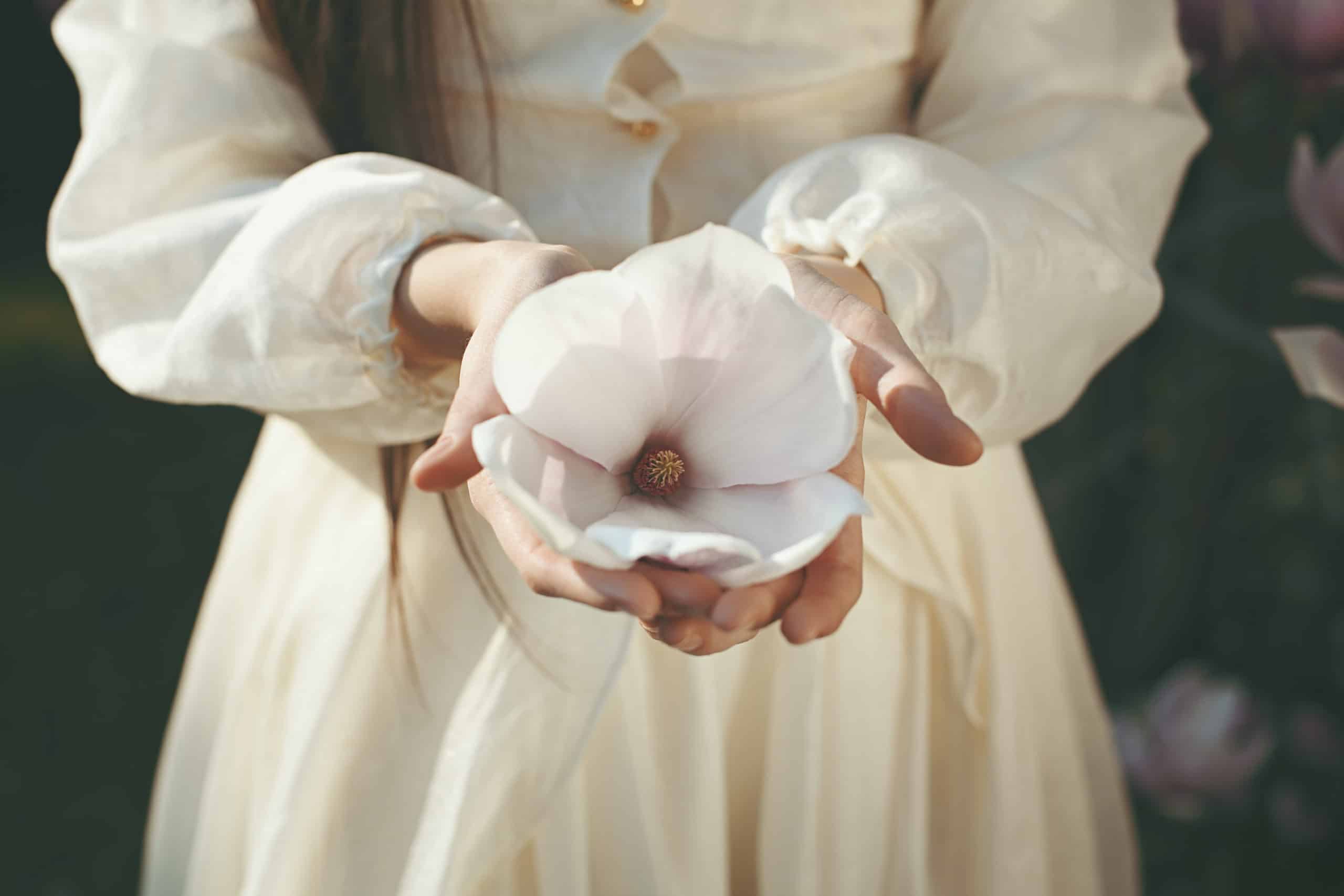 Female hands offering magnolia flower