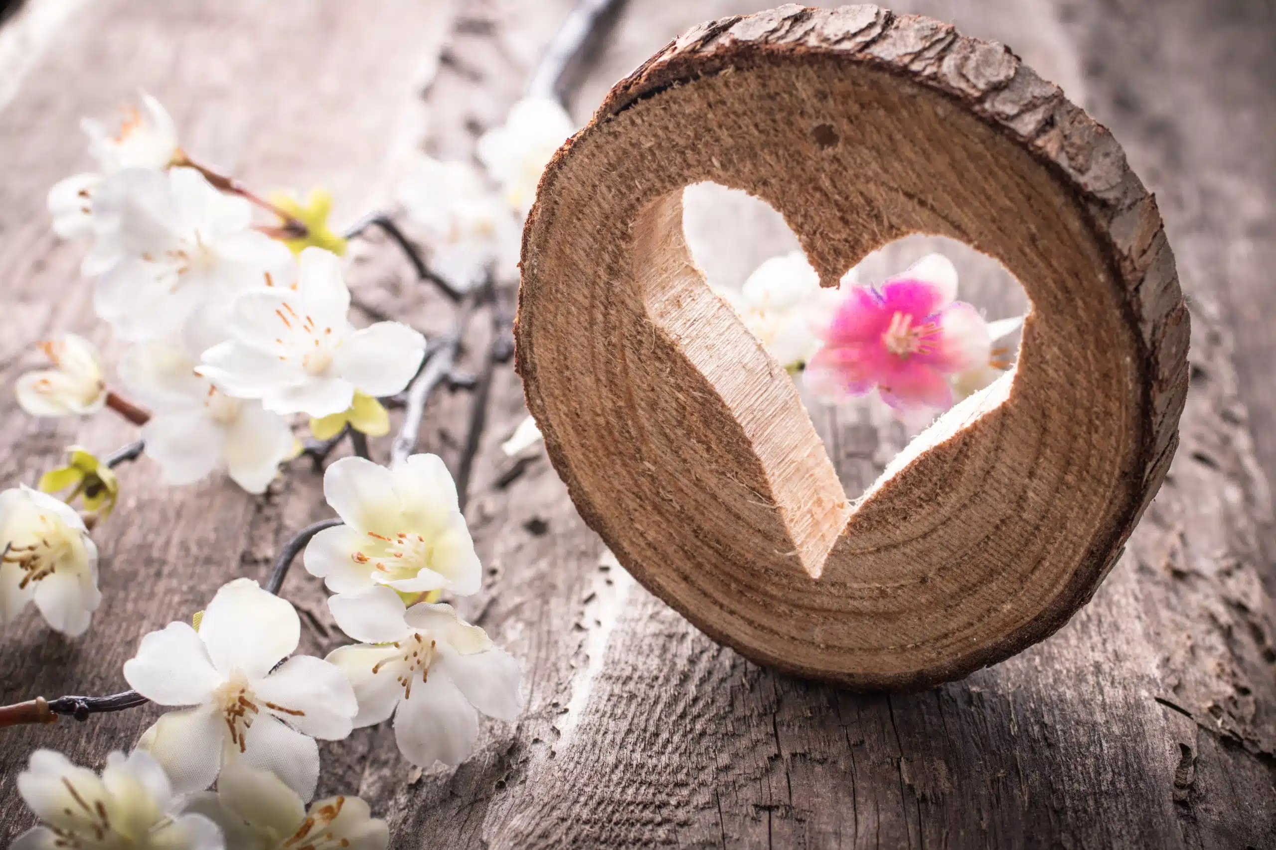 Heart carved out from round wood on rustic wooden platform, with white orchids beside it.