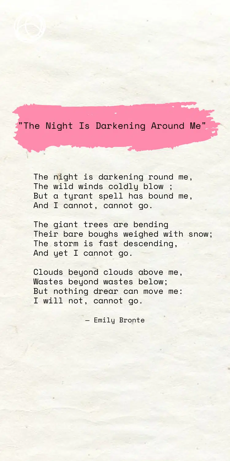 The night