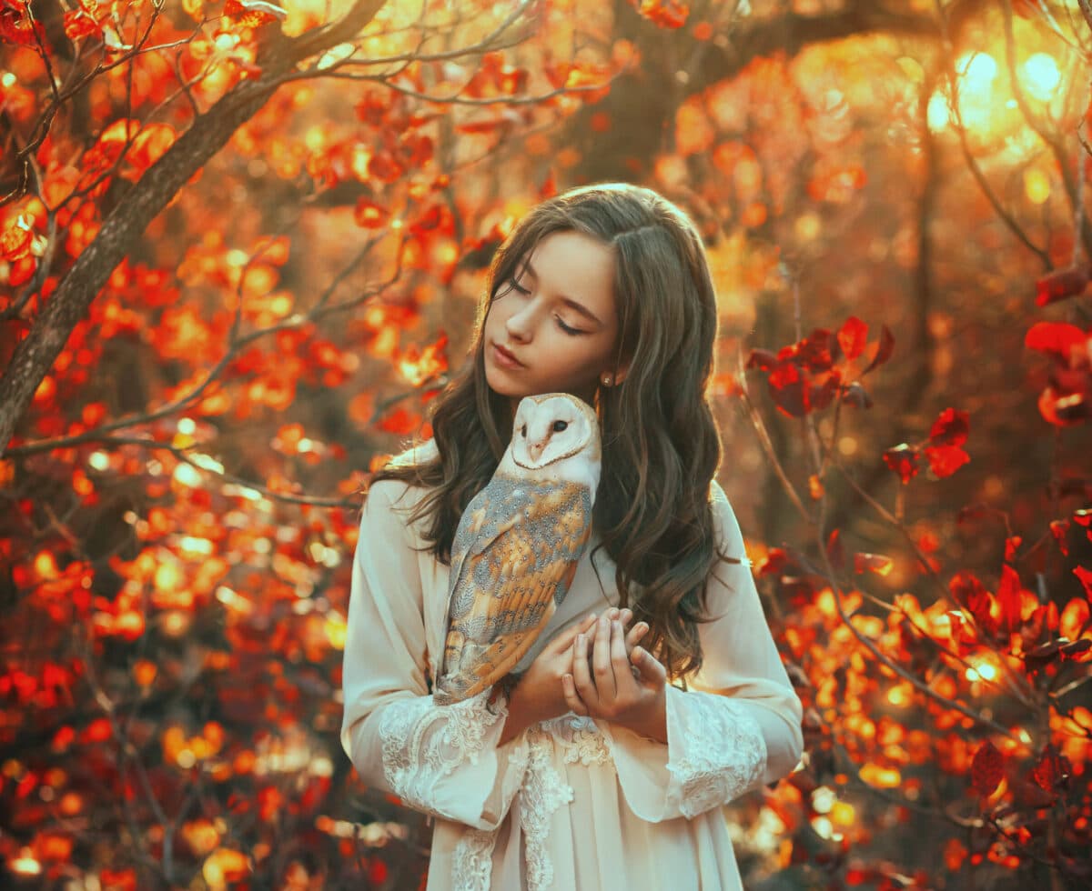 Fantasy portrait girl princess teenager holds in hands, hugs with love white bird barn owl. Eyes closed pretty face enjoying nature, magical divine sun light. Autumn nature forest trees. vintage dress