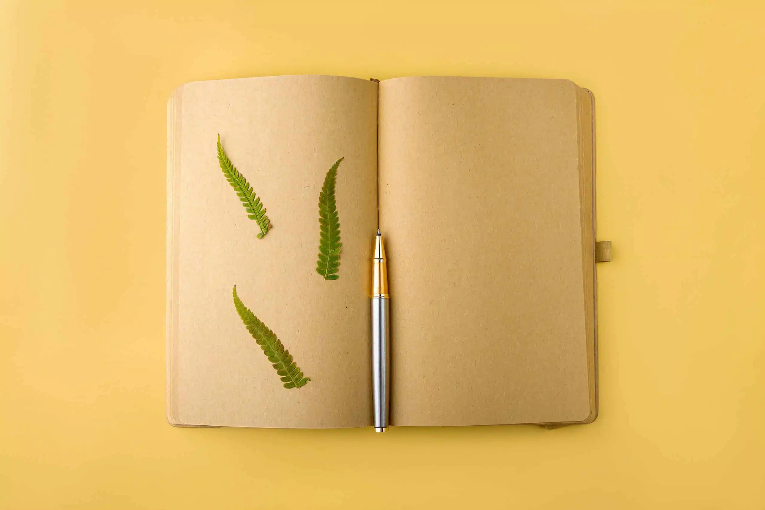 Blank open vintage diary, notebook with herbarium.