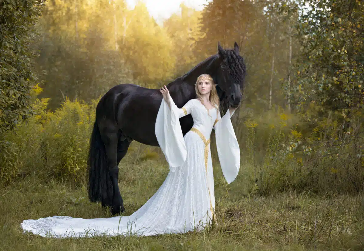 Elven story: blonde elf with a huge black stallion in a sunny forest