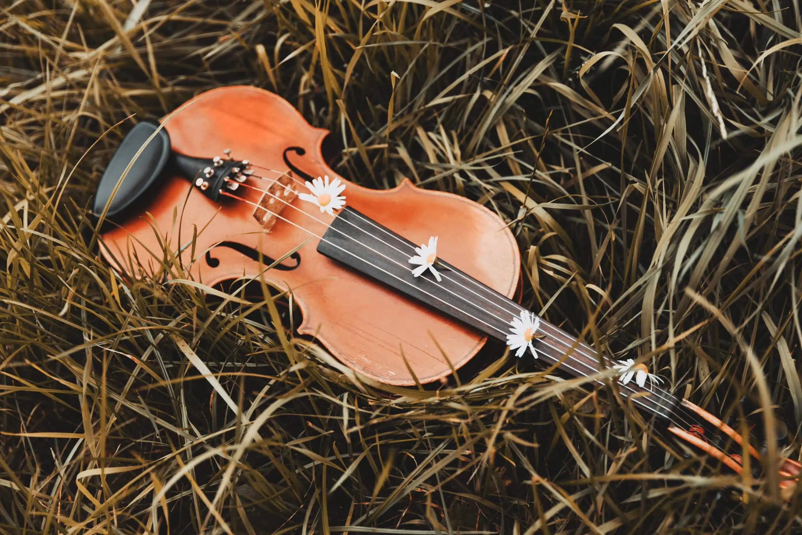 Beautiful violin lies on the grass with flowers.