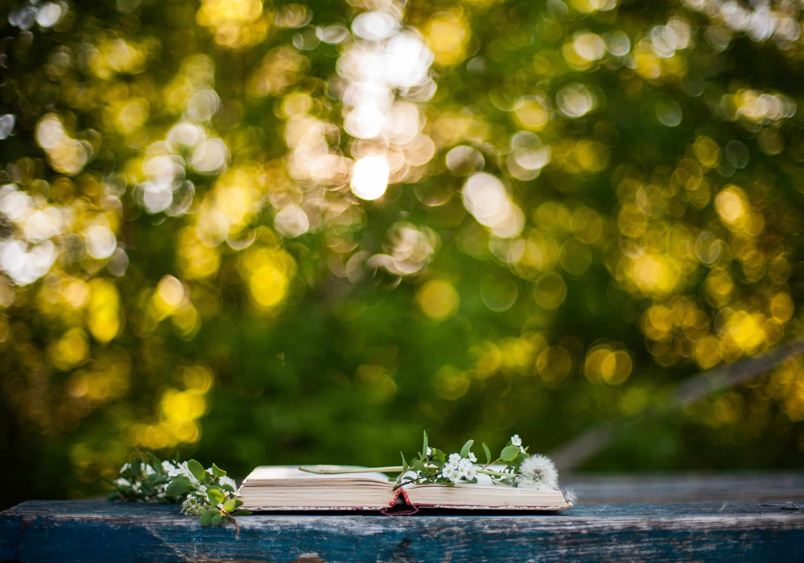 Poetry book lying on wooden table outdoor