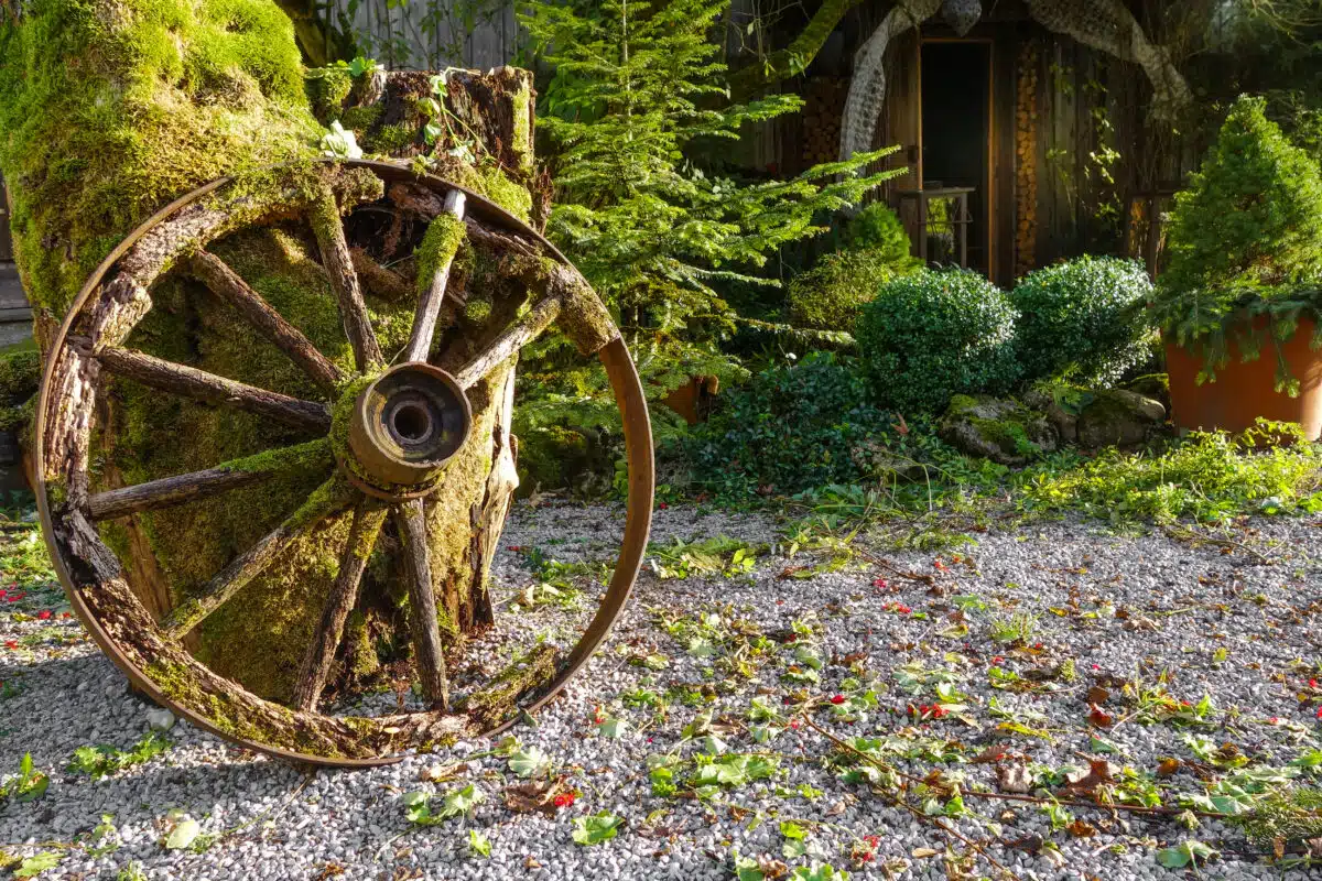 a detached old wheel leaning against a mossy dead tree trunk