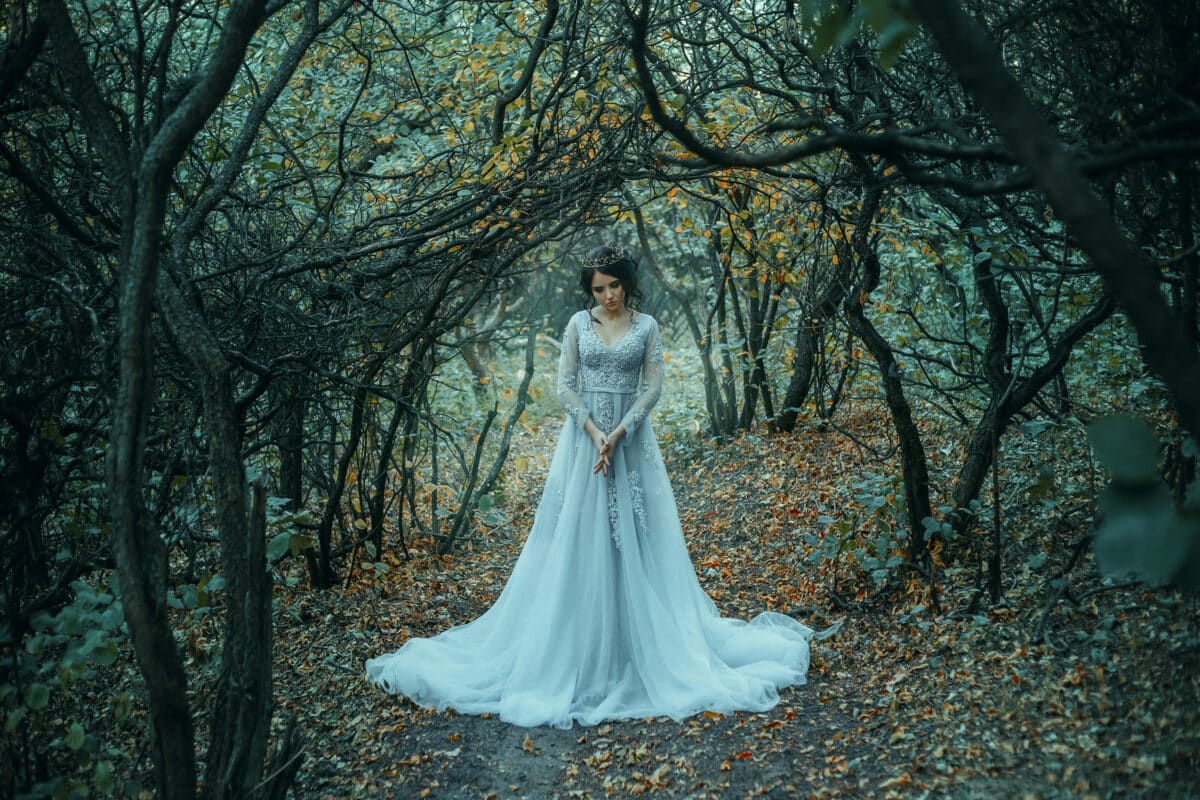A young princess walks in a beautiful silver dress. The background is grim autumn nature.