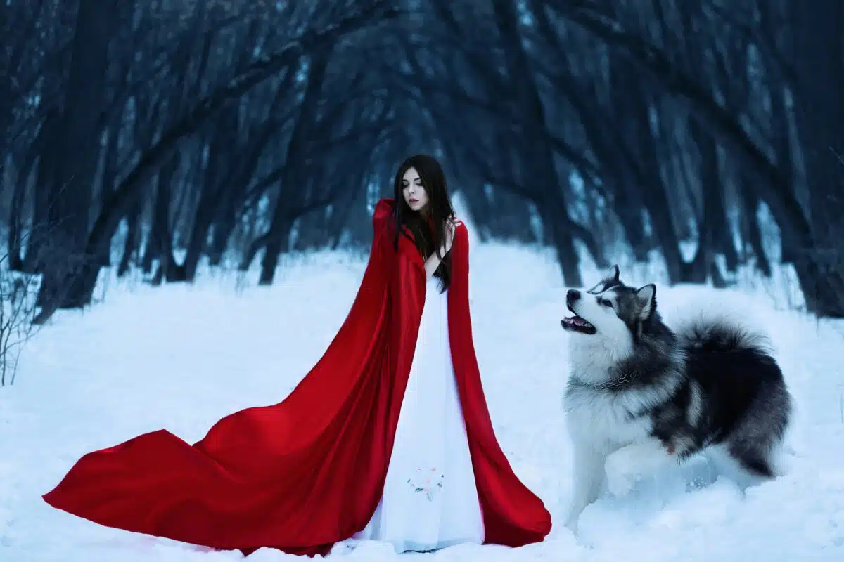 Red Riding Hood lost in the mystical snow-covered forest and met a wolf.