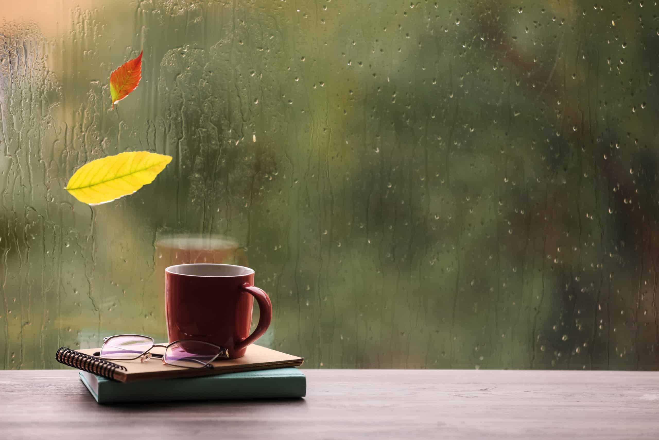Notebook with a cup and glasses on top and autumn leave on windowsill.