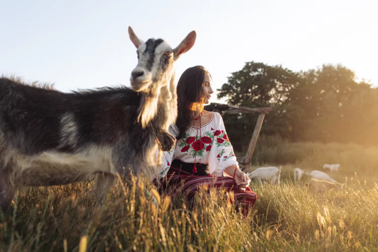 Young woman grazes goats in traditional clothing.