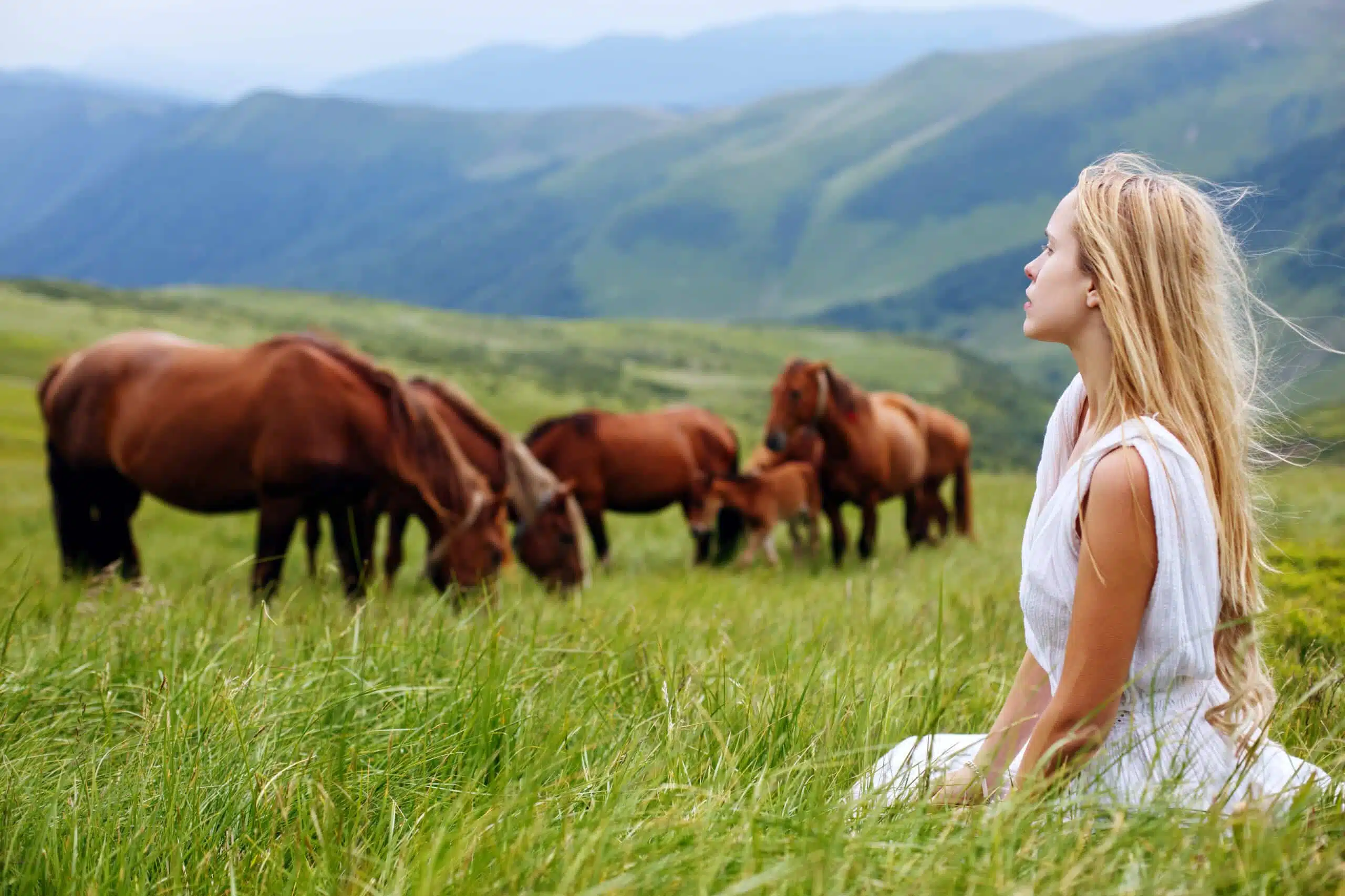 Woman sitting on mountain top, with brown horses grazing in the background