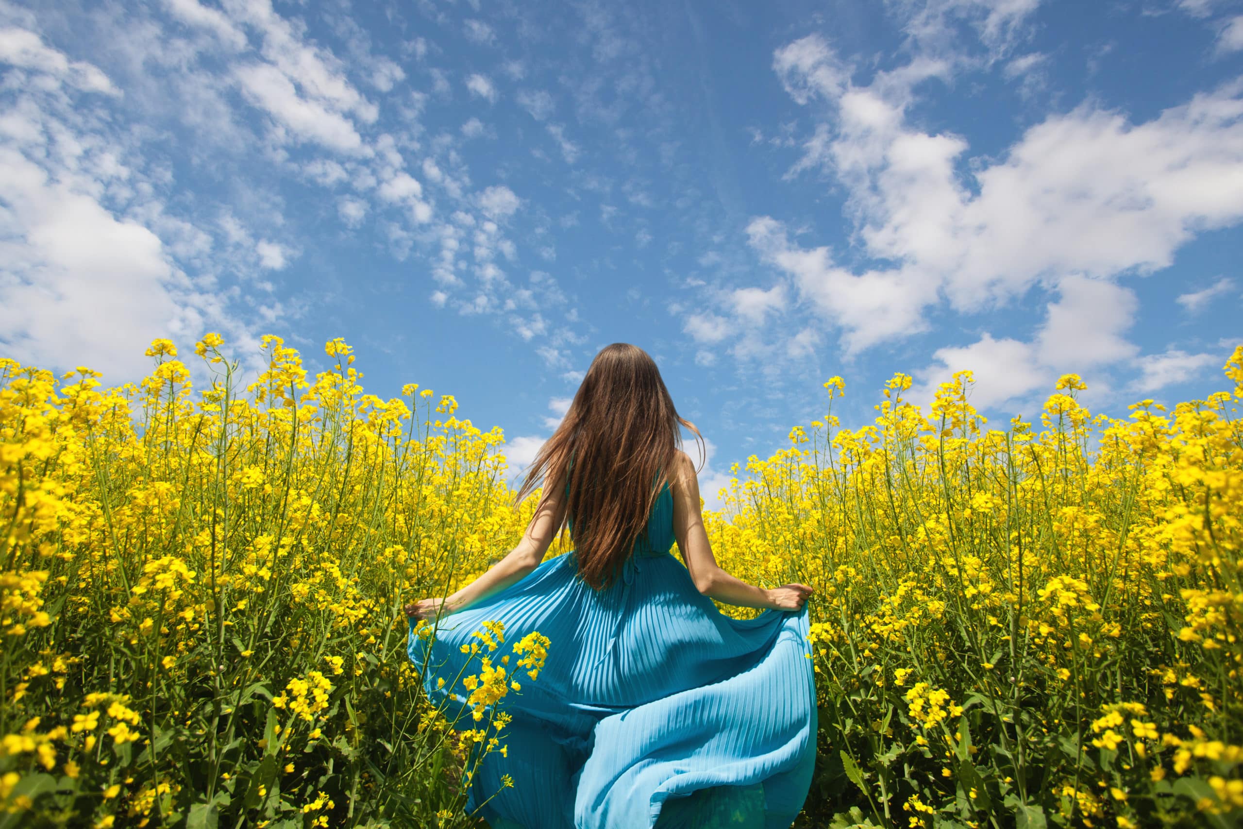 A young girl runs in a puffy blue dress in the field of yellow flowers under the blue sky.