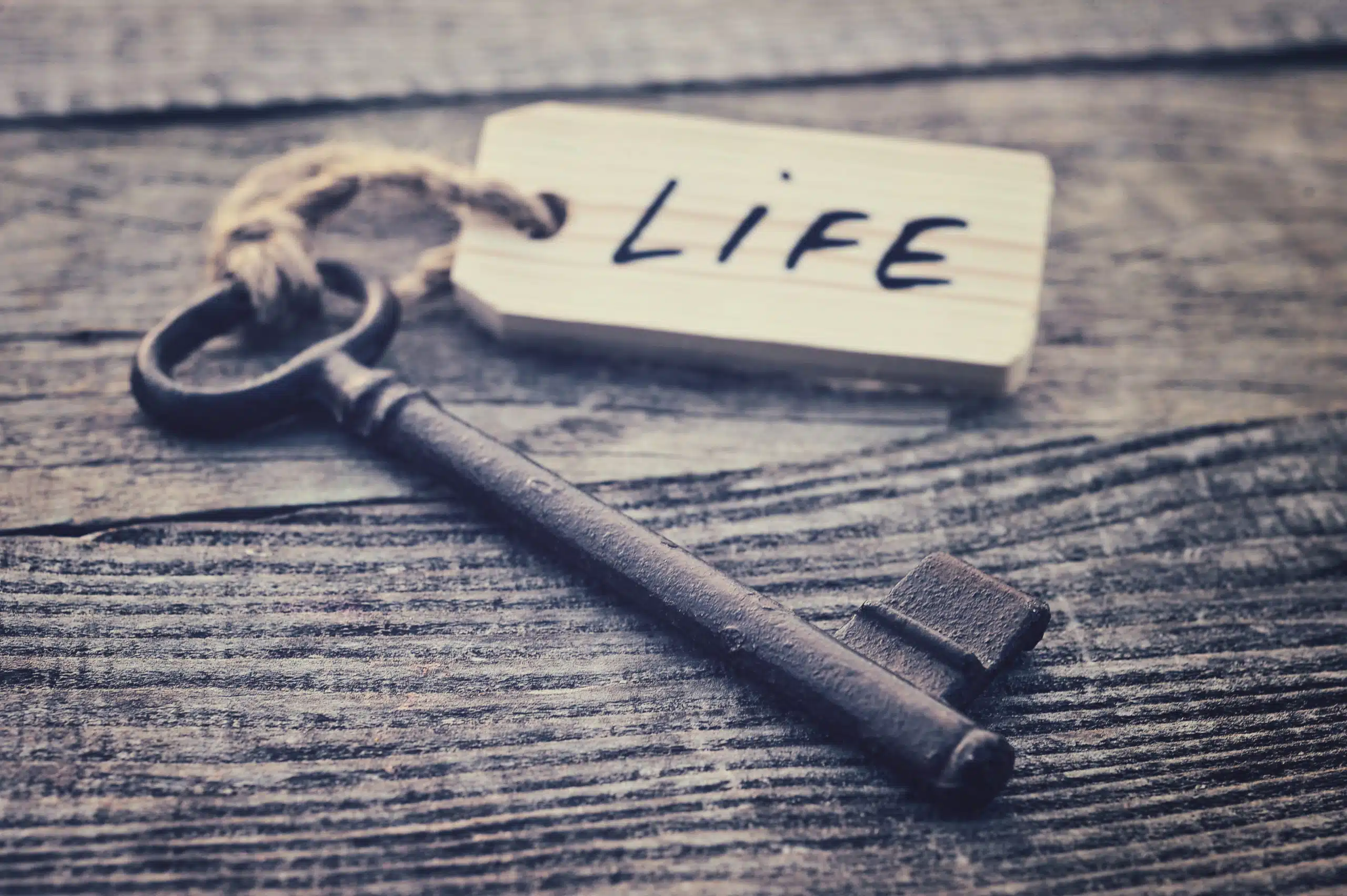 Key with a label that has the word life written on it.
