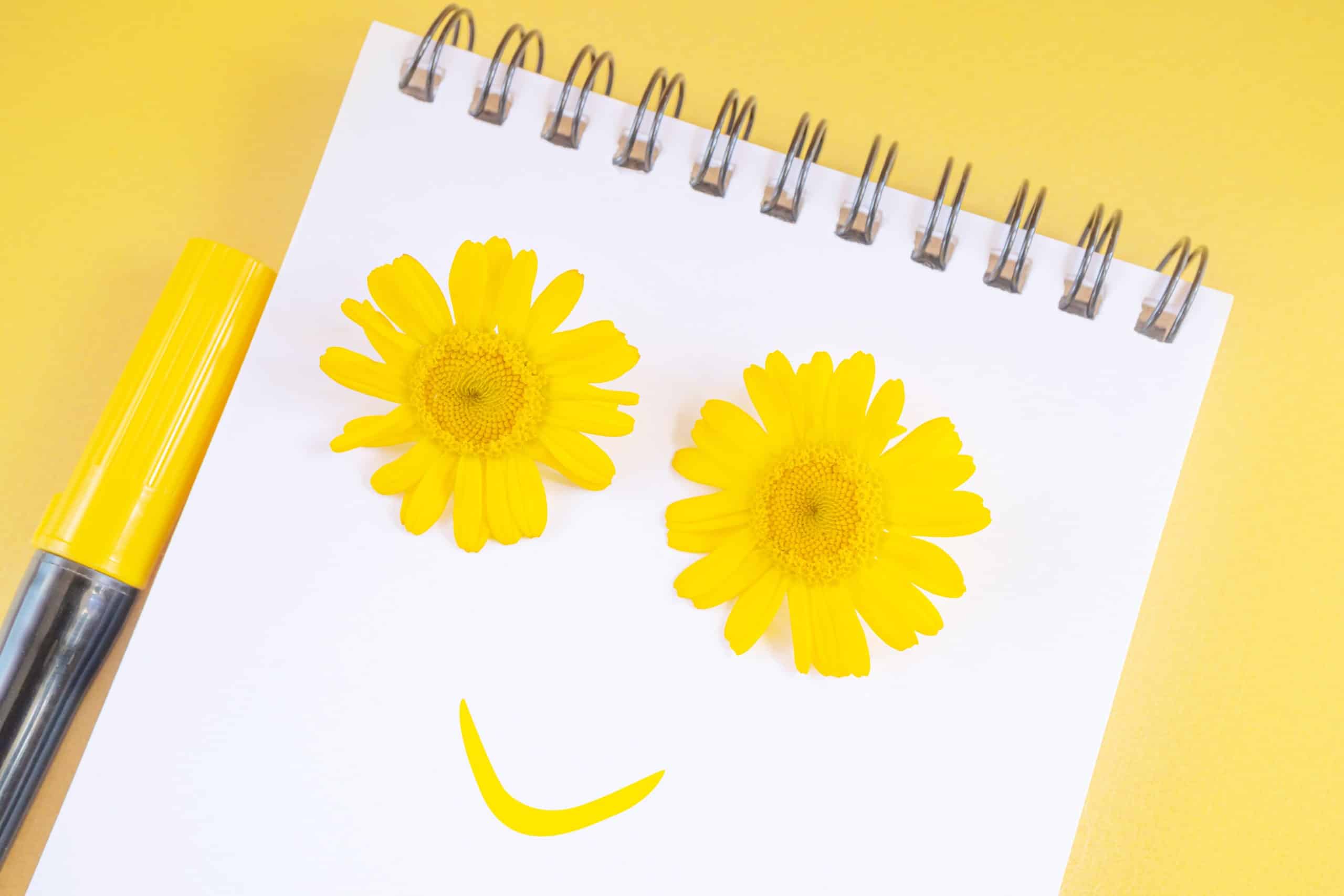 Spiral notepad with a smile drawn on the page, yellow daisies as eyes.