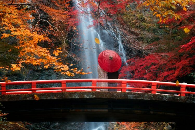 Japanese couple with umbrella standing on the red bridge in minoh waterfall.