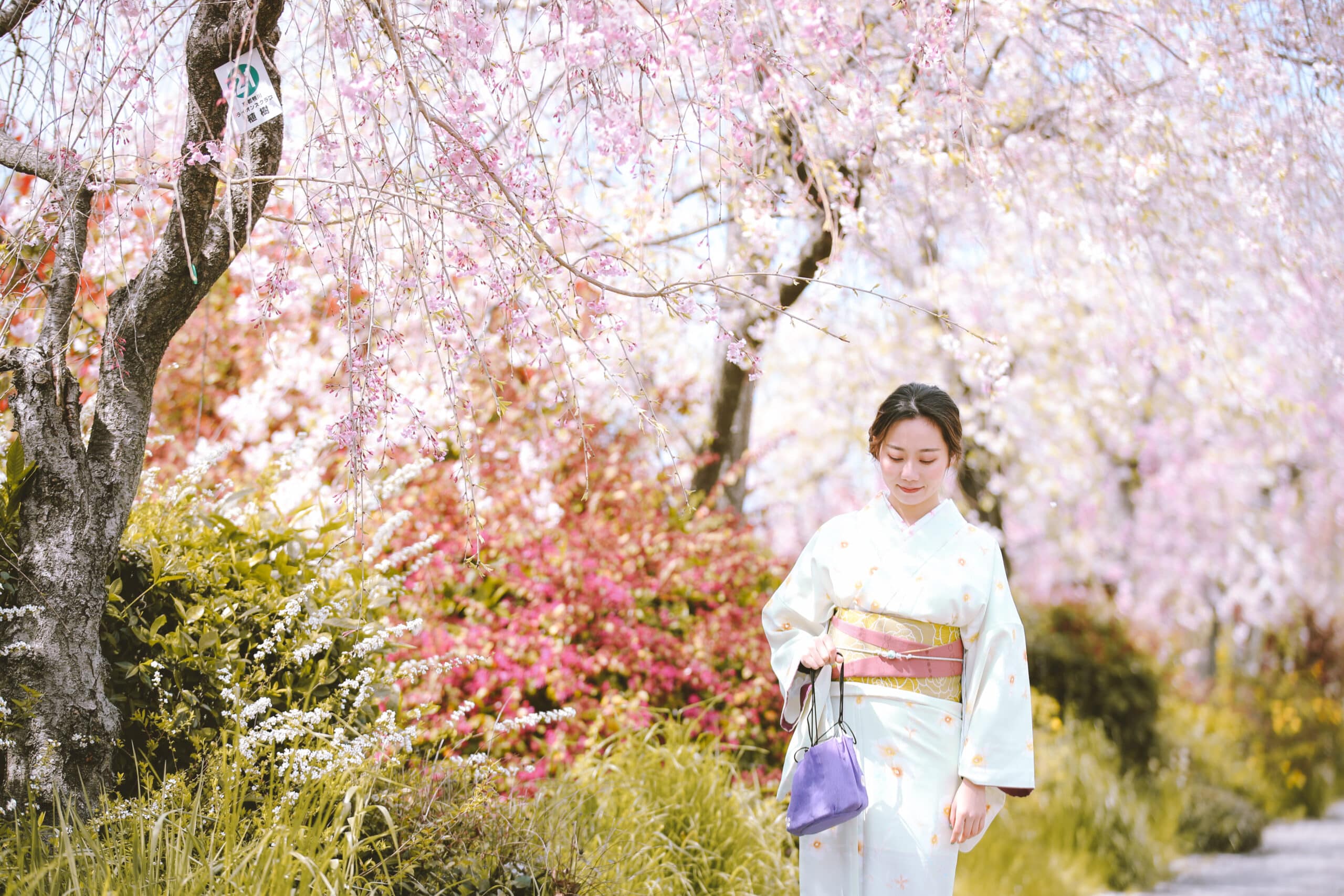 Woman wearing kimono in spring