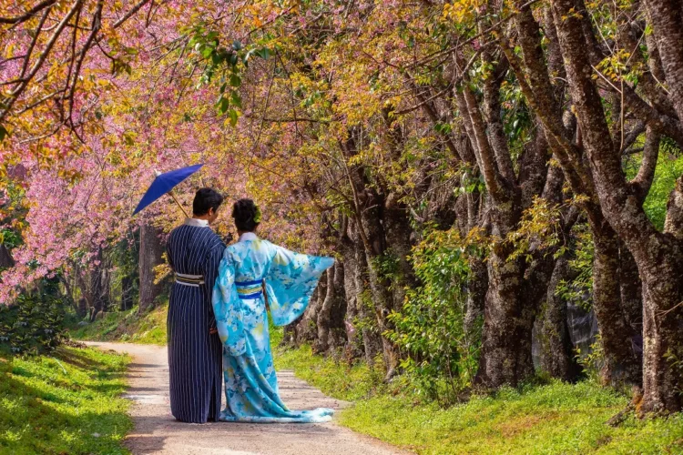 Japanese couple in kimono dress enjoying the outdoors in spring